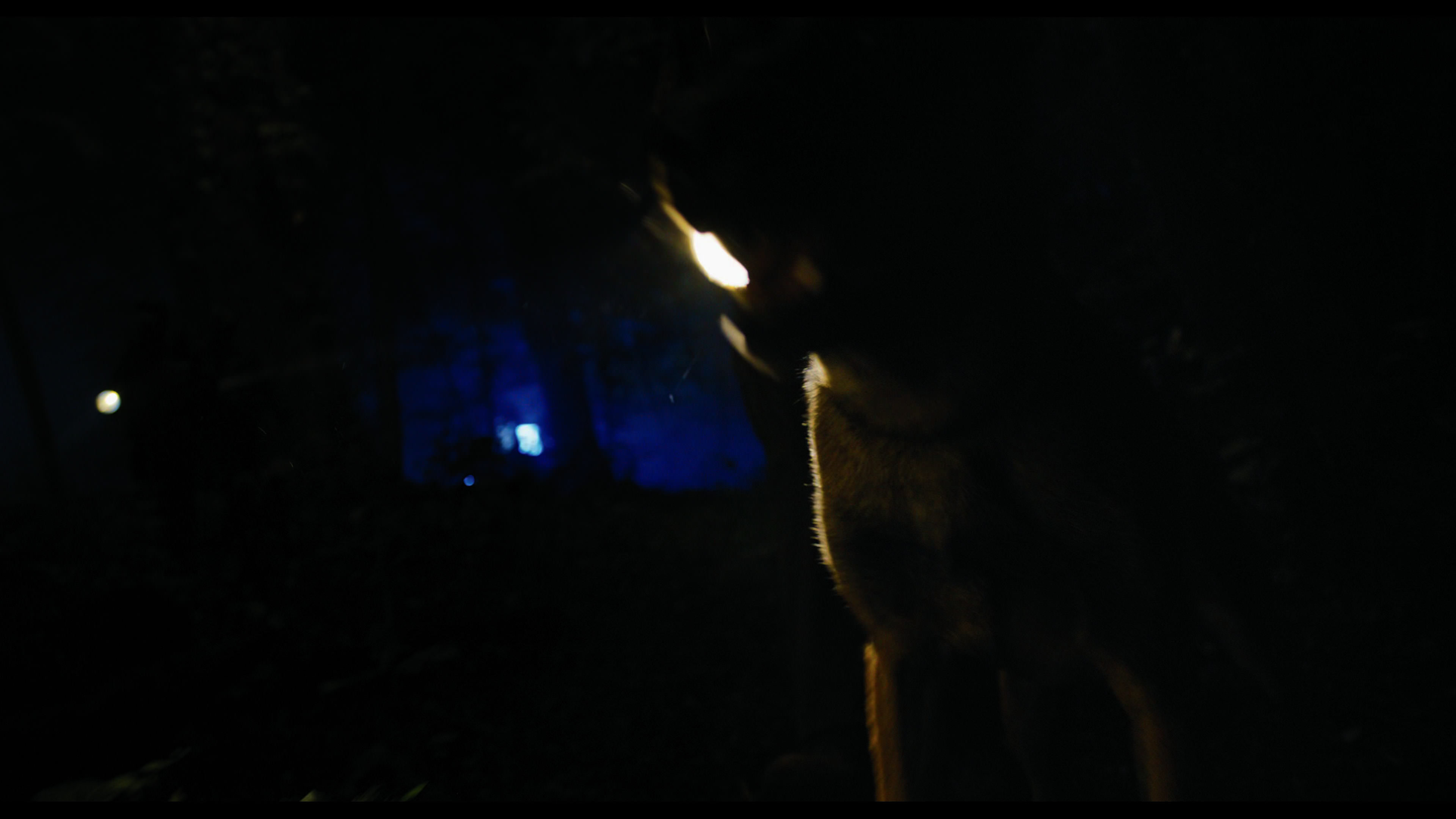 Wednesday S01E02 “Woe Is the Loneliest Number” screencap 36