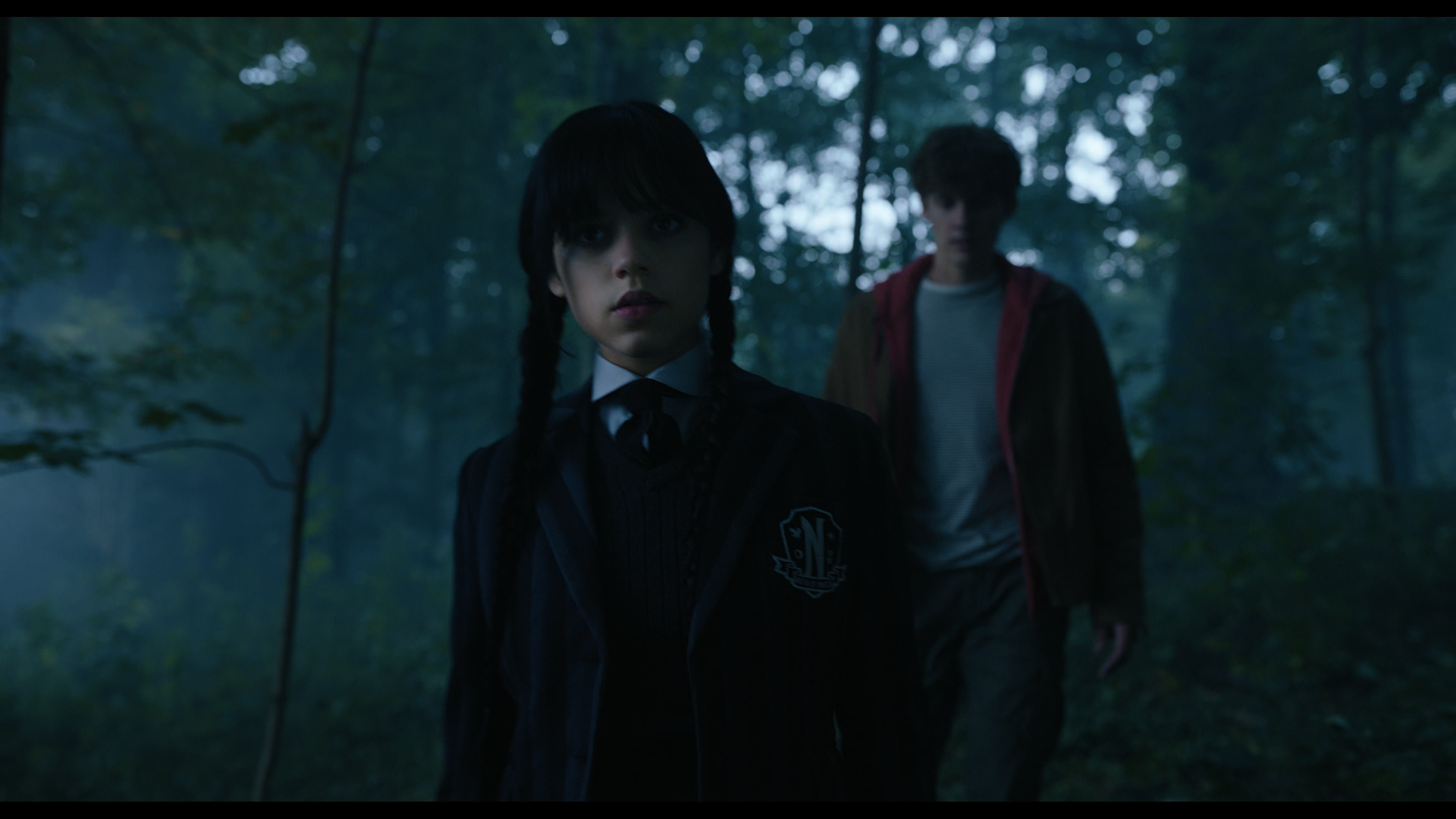 Wednesday S01E02 “Woe Is the Loneliest Number” screencap 3600