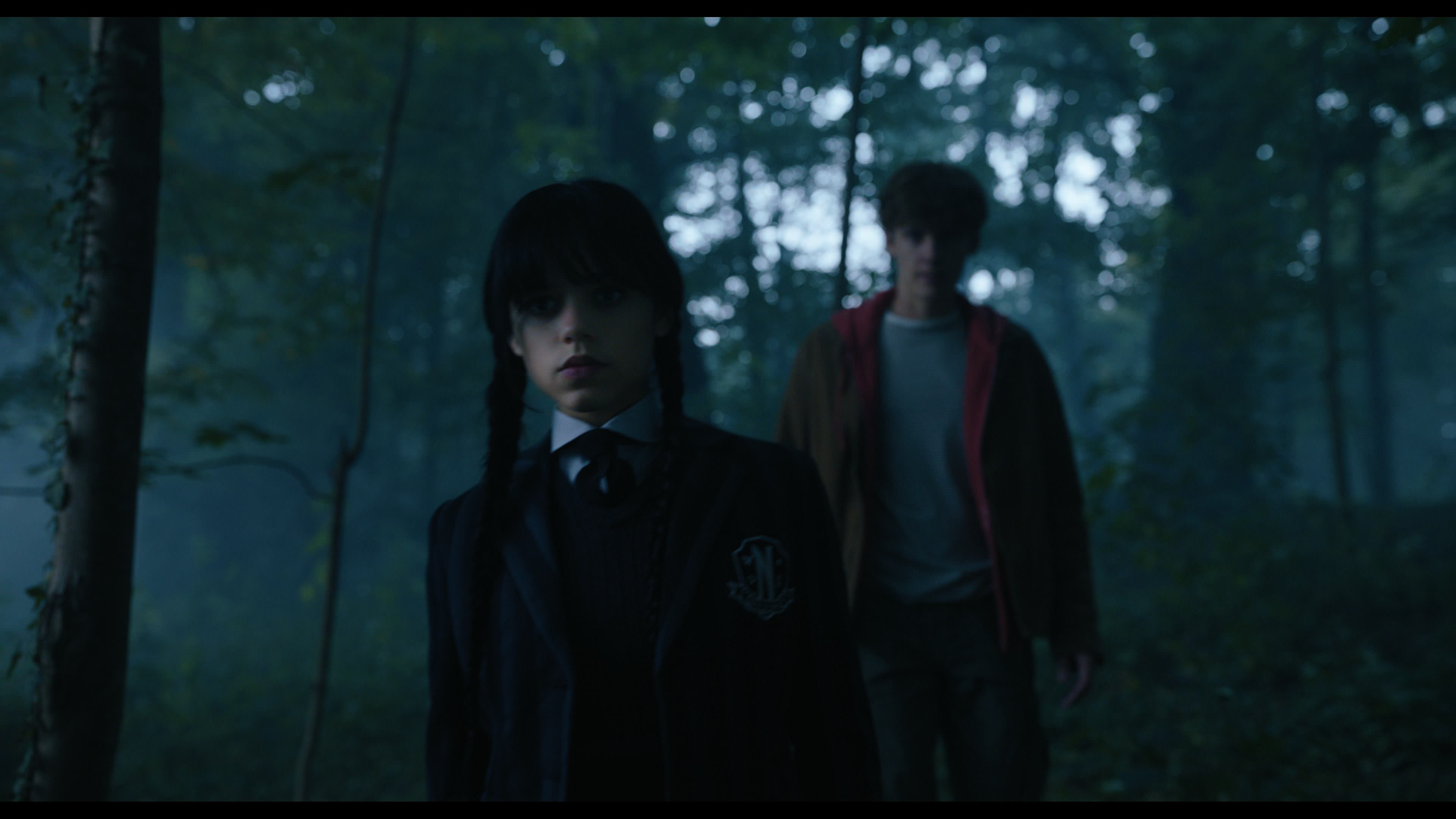 Wednesday S01E02 “Woe Is the Loneliest Number” HD screenshot 3602