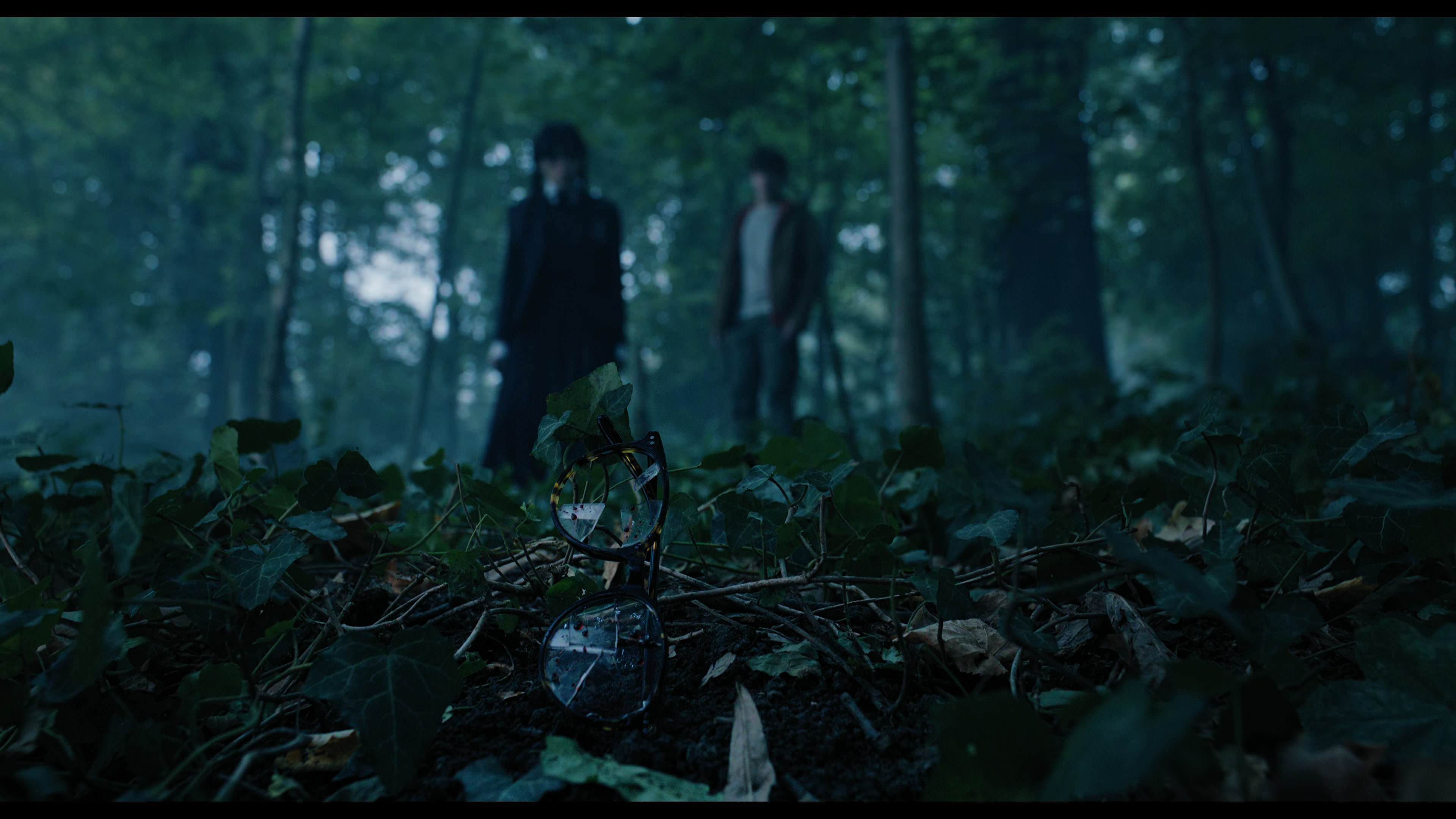 Wednesday S01E02 “Woe Is the Loneliest Number” HD screenshot 3608