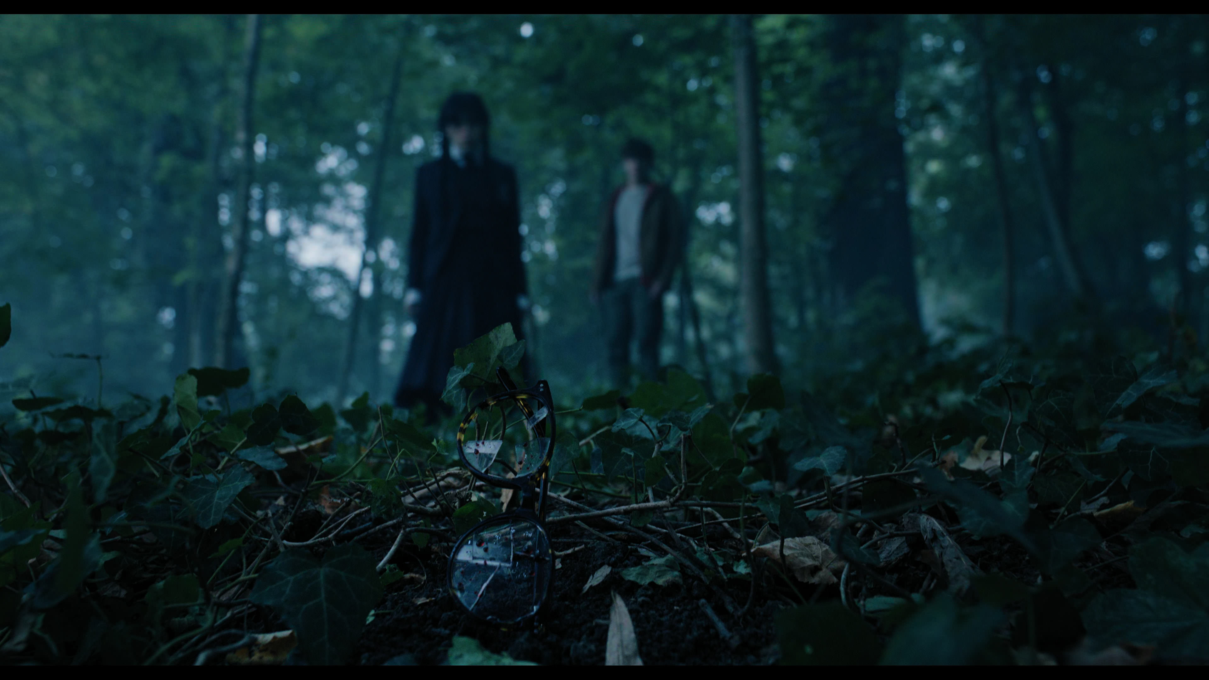 Wednesday S01E02 “Woe Is the Loneliest Number” screencap 3609