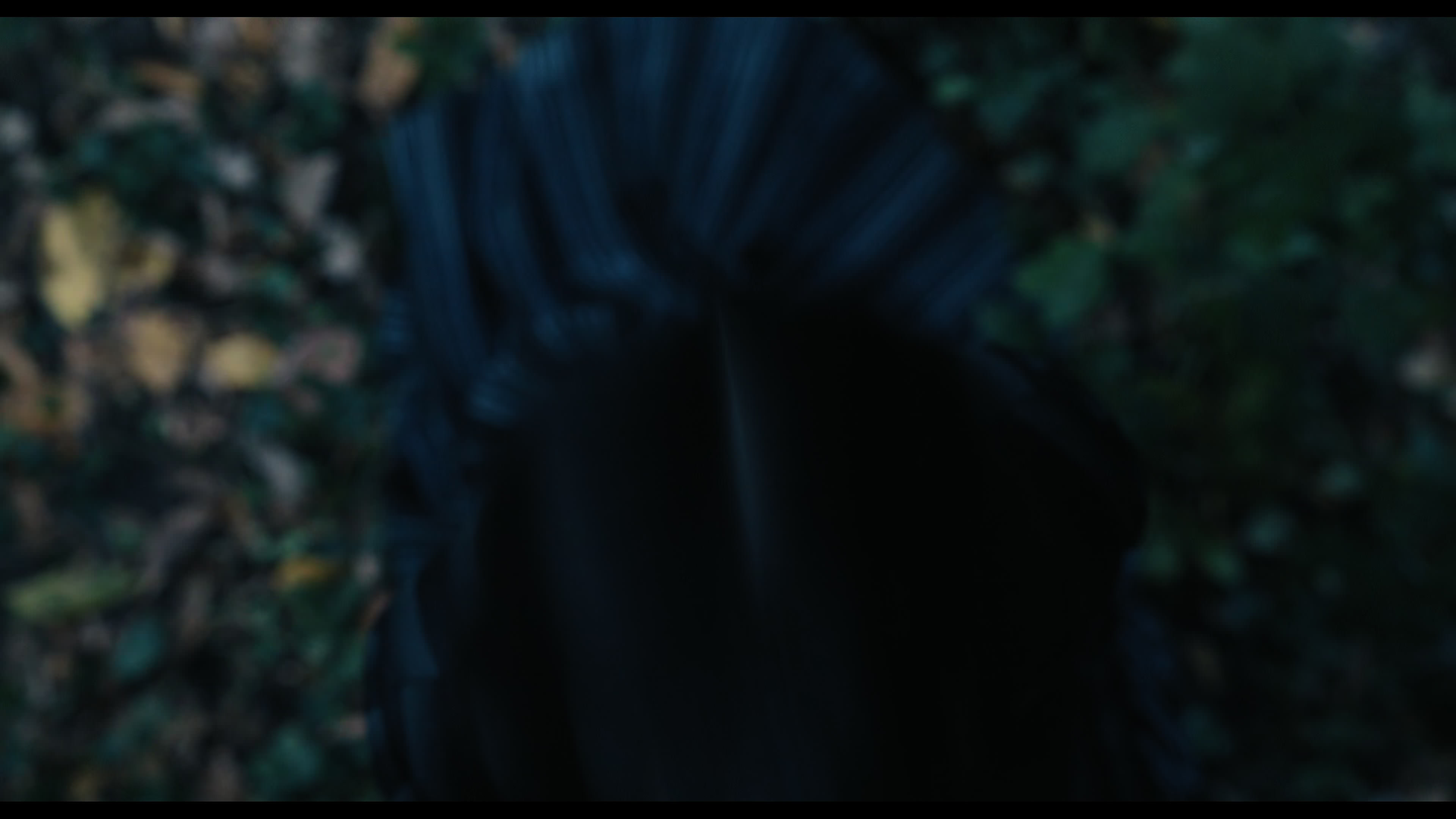 Wednesday S01E02 “Woe Is the Loneliest Number” movie still 3631