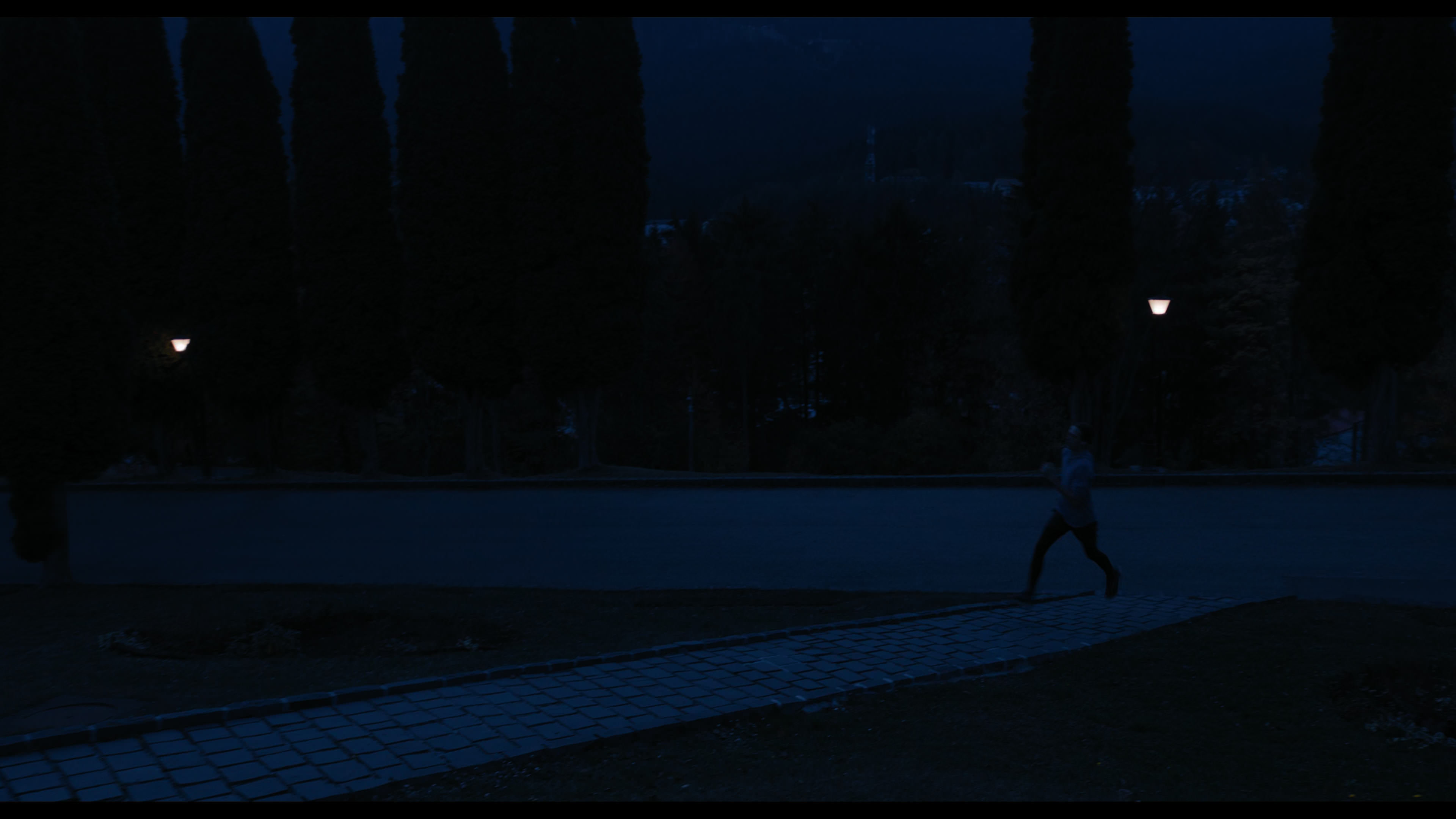 Wednesday S01E02 “Woe Is the Loneliest Number” movie still 4057