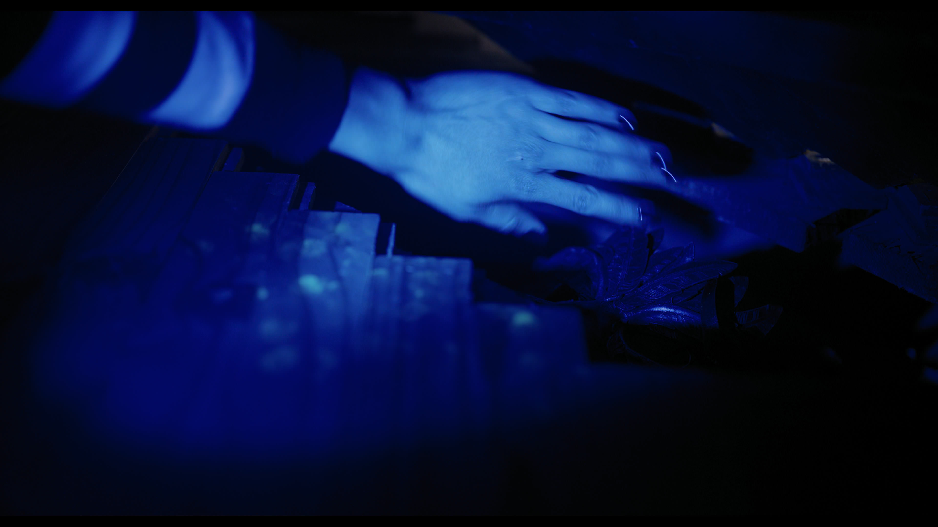 Wednesday S01E02 “Woe Is the Loneliest Number” screencap 4200