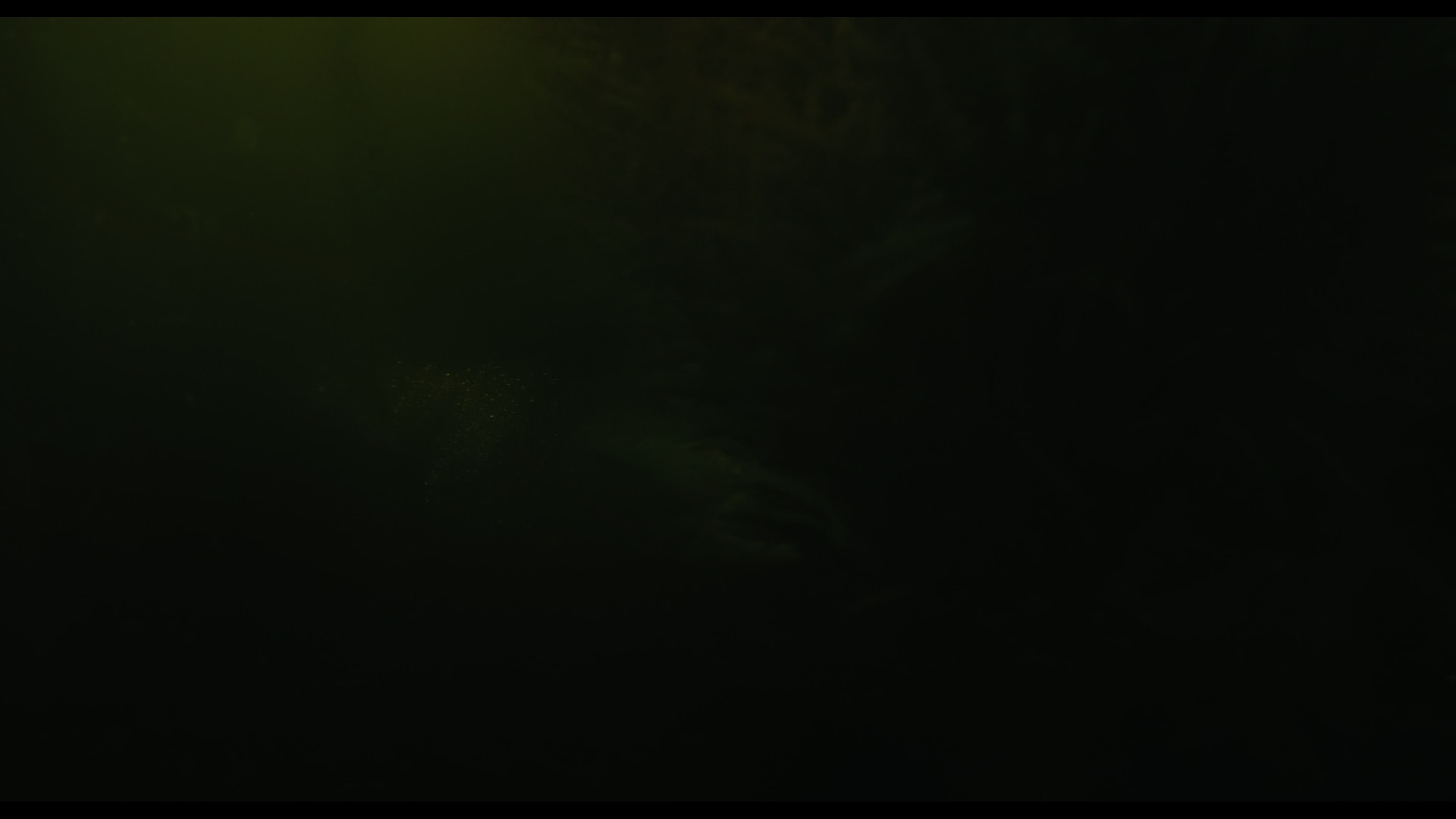Wednesday S01E02 “Woe Is the Loneliest Number” screencap 4971