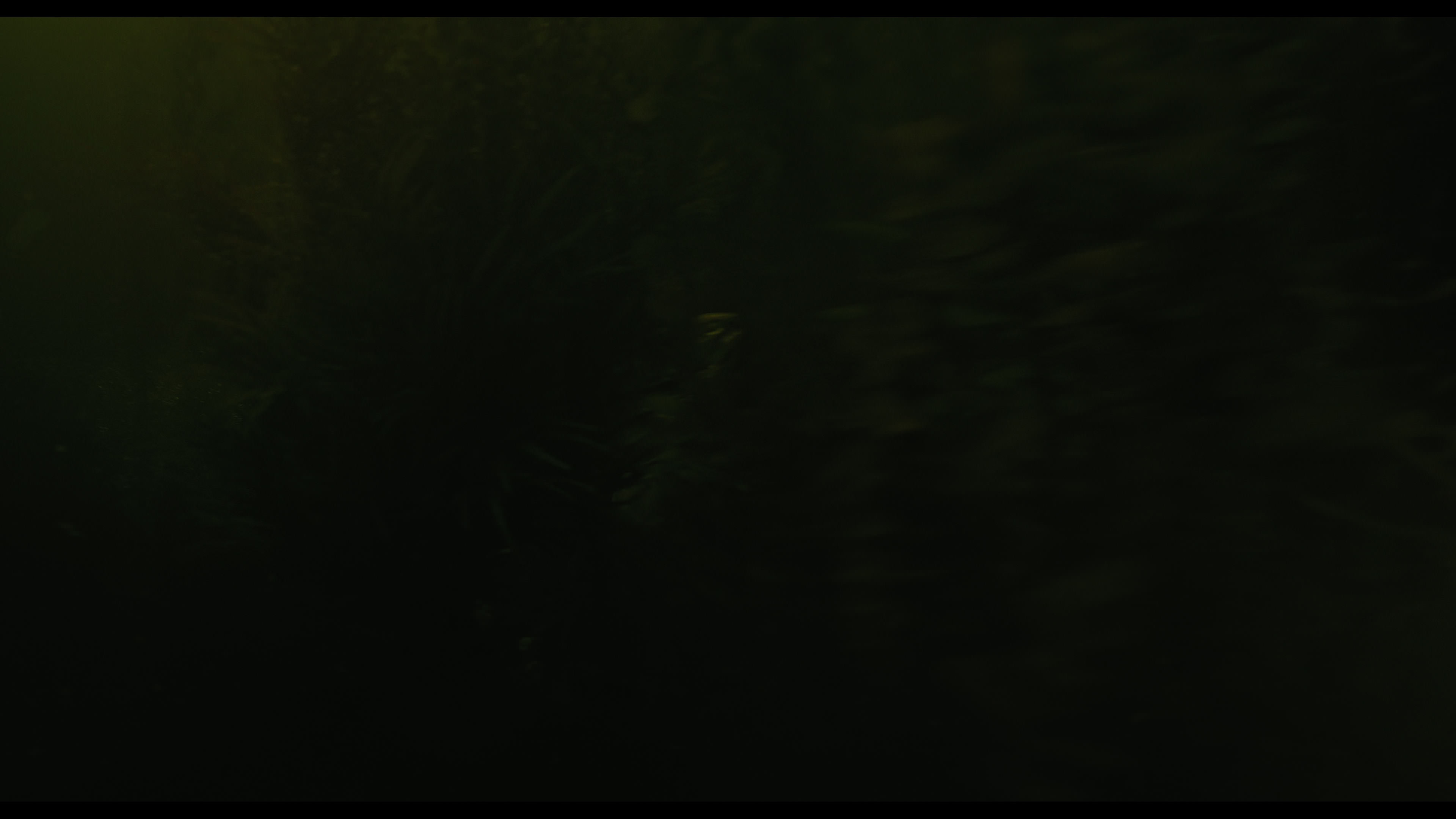 Wednesday S01E02 “Woe Is the Loneliest Number” HD screenshot 4973