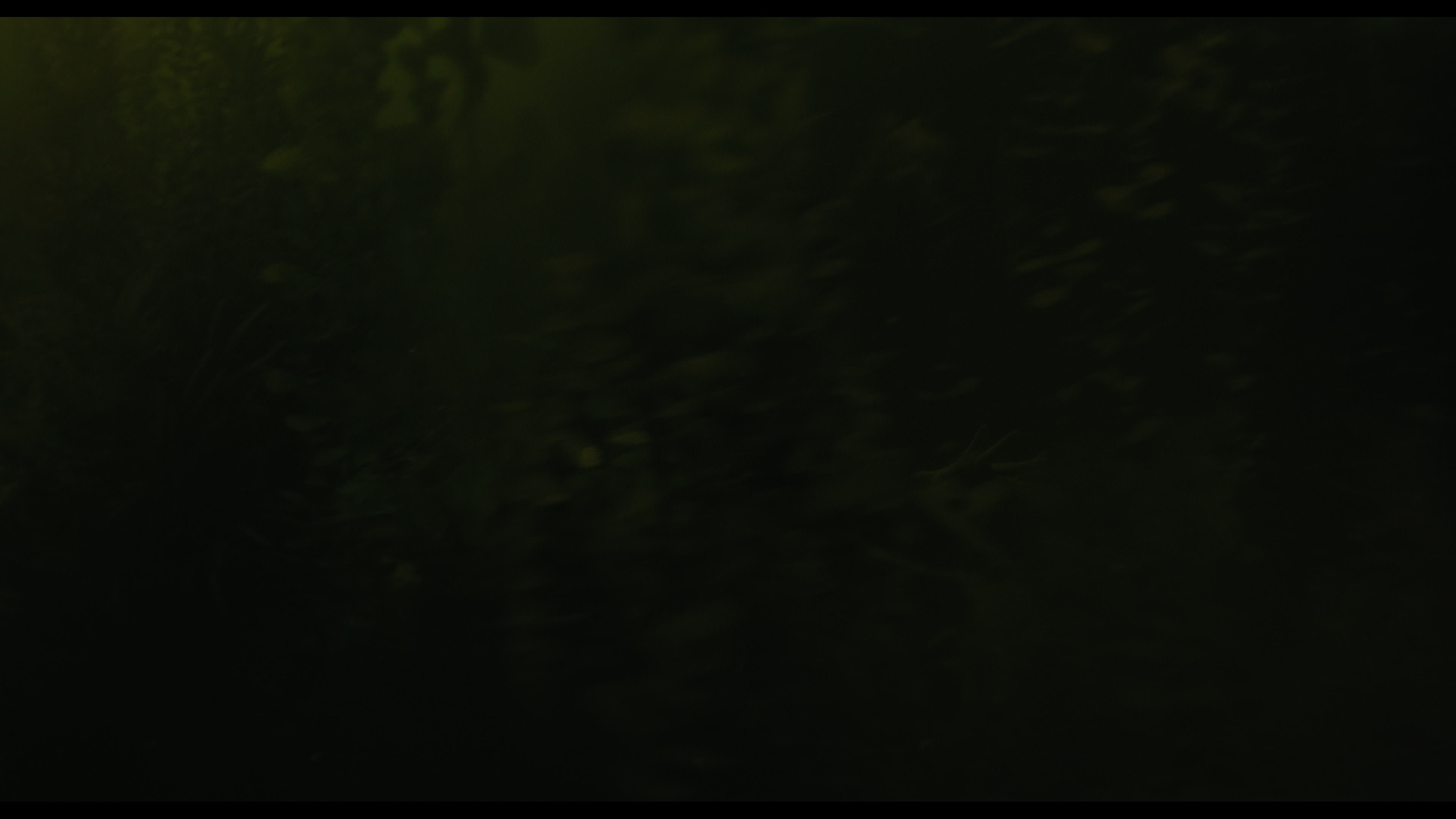 Wednesday S01E02 “Woe Is the Loneliest Number” screencap 4974