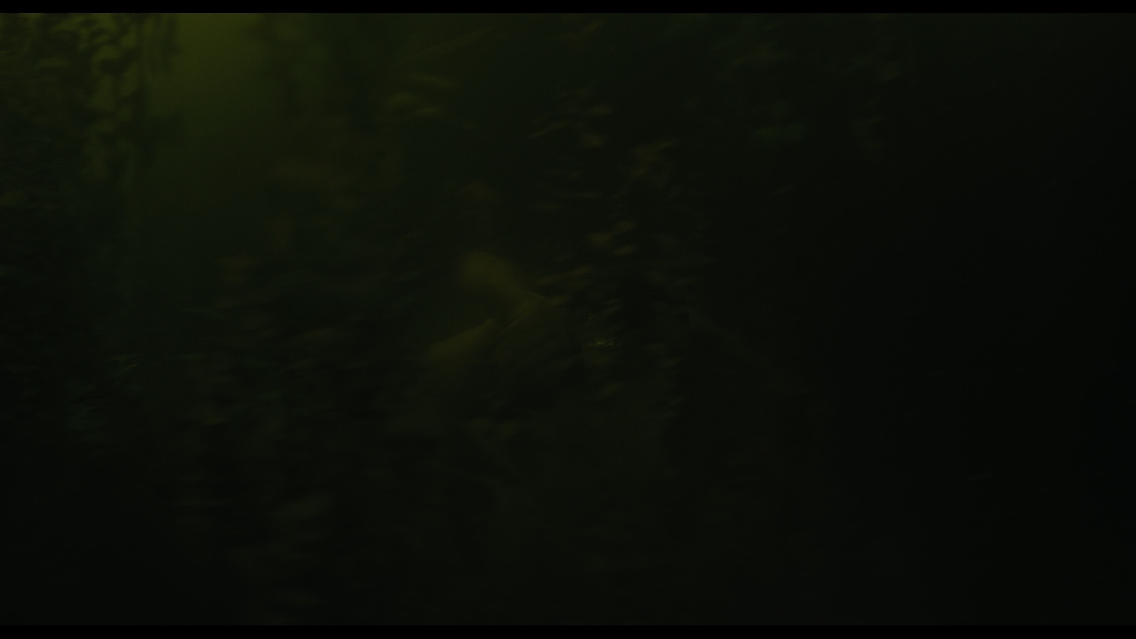 Wednesday S01E02 “Woe Is the Loneliest Number” movie still 4975