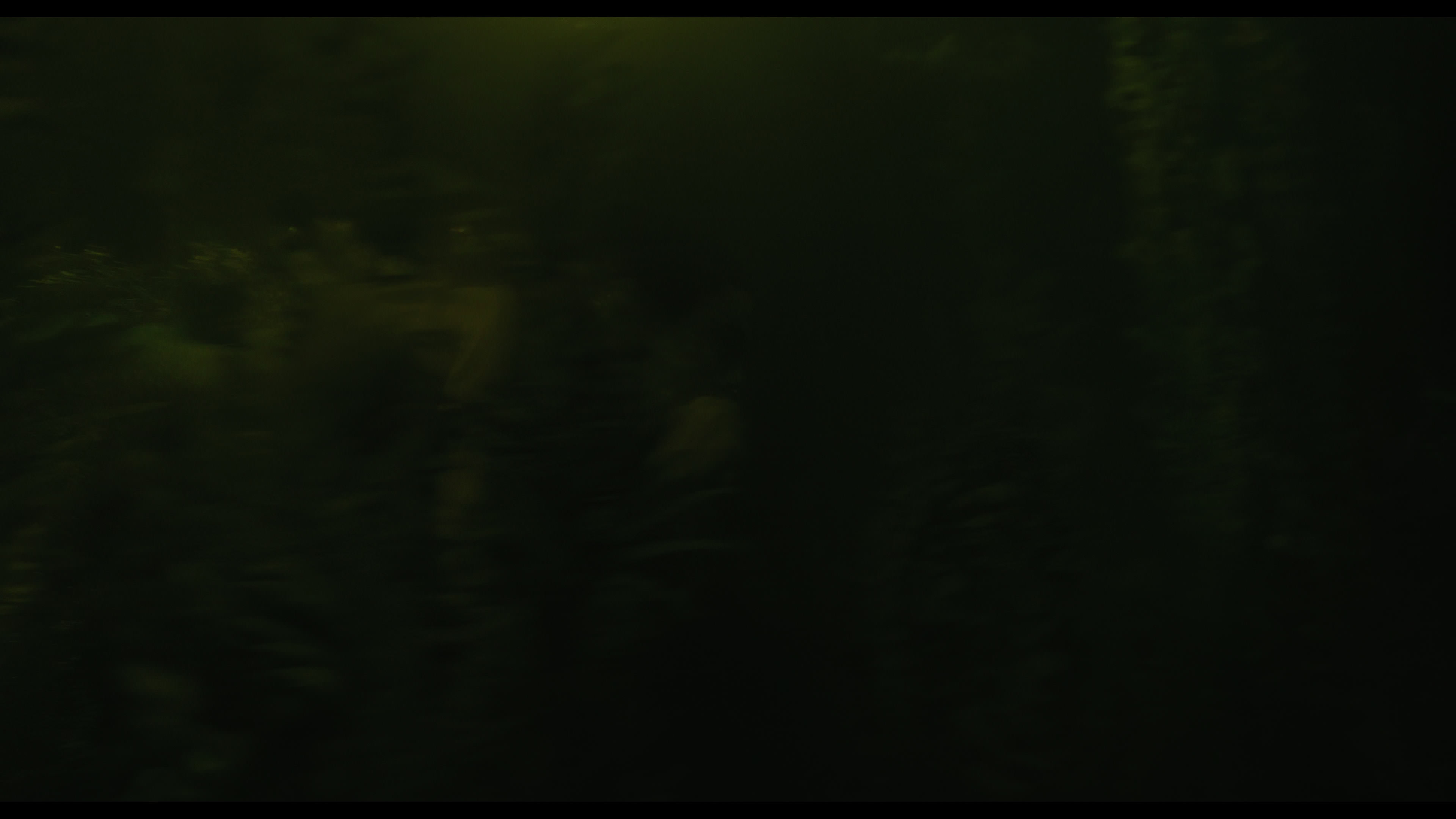Wednesday S01E02 “Woe Is the Loneliest Number” movie still 4978