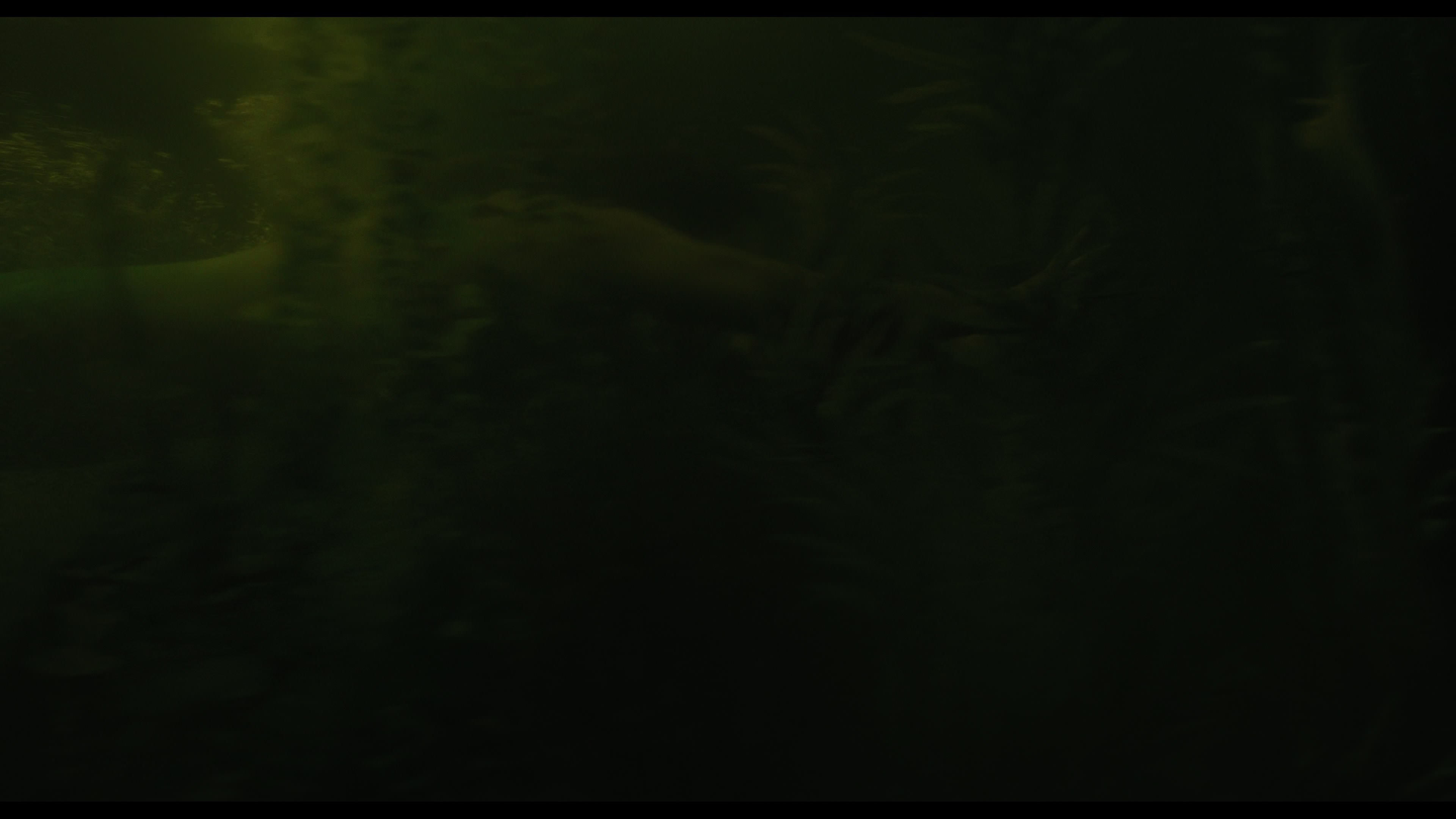 Wednesday S01E02 “Woe Is the Loneliest Number” HD screenshot 4979