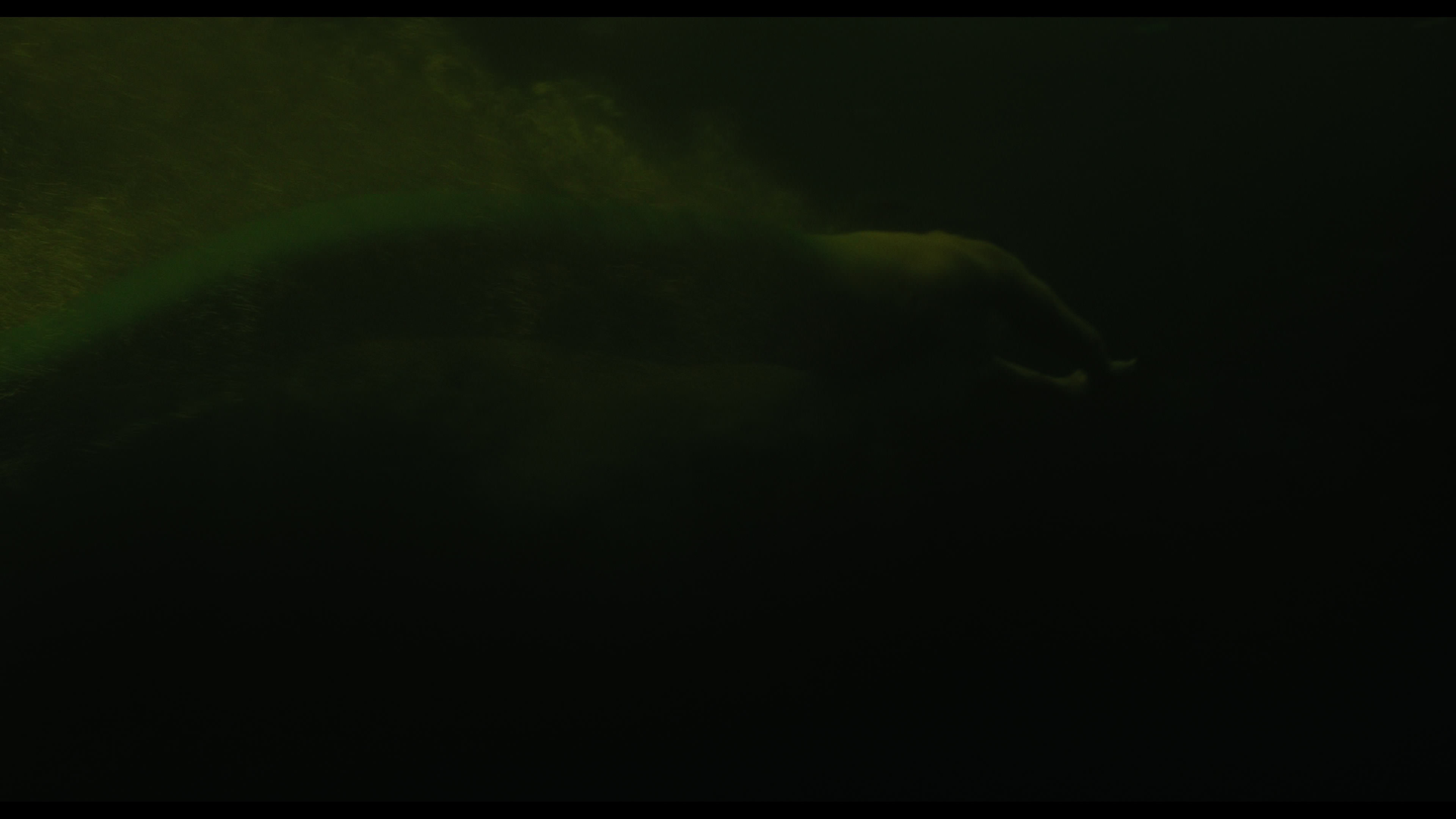 Wednesday S01E02 “Woe Is the Loneliest Number” movie still 4981