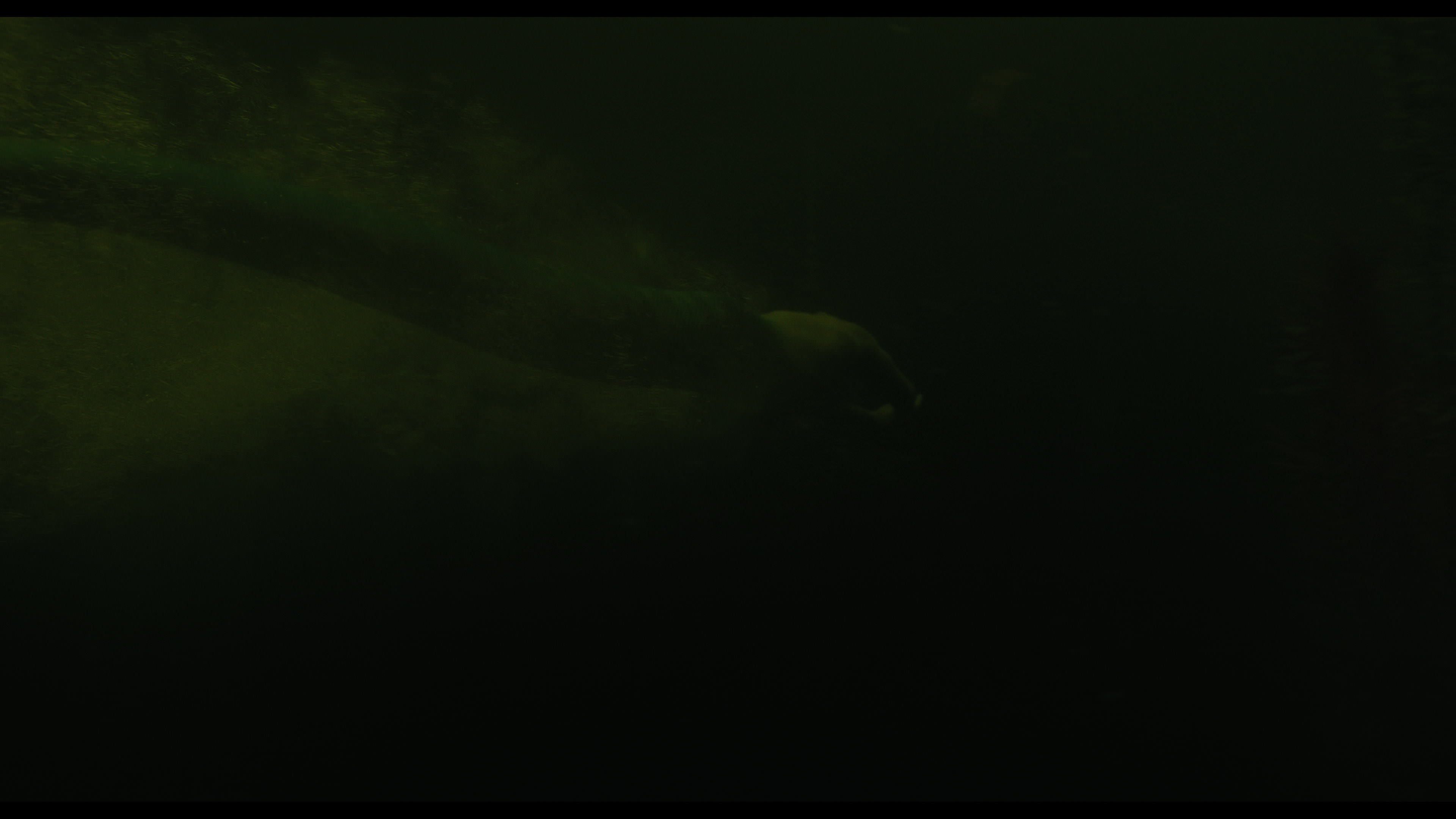 Wednesday S01E02 “Woe Is the Loneliest Number” HD screenshot 4982