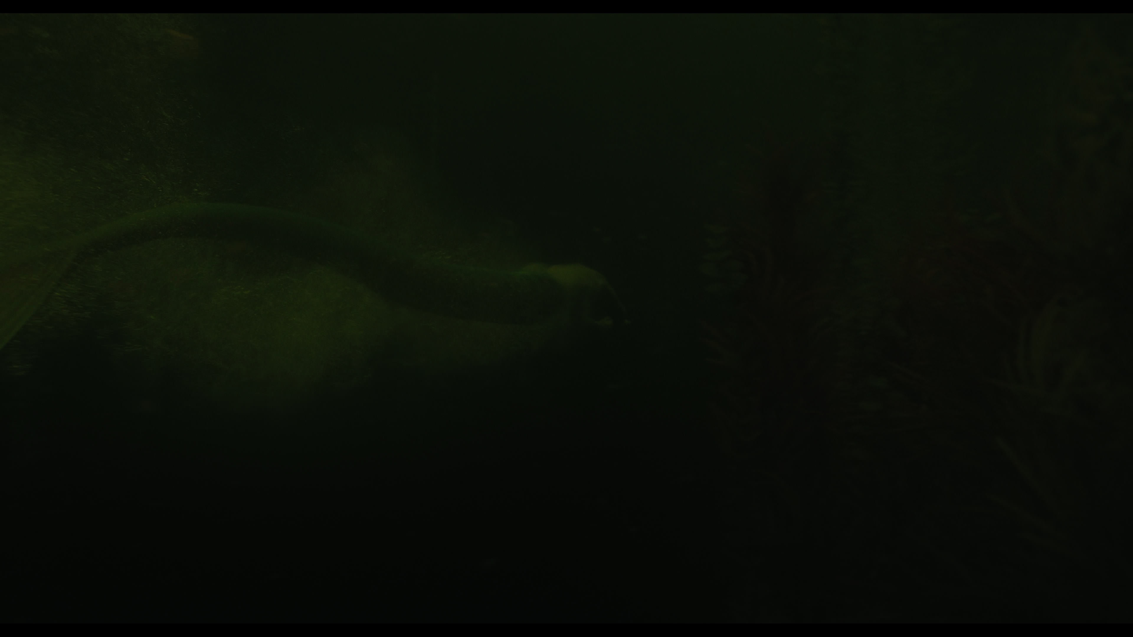 Wednesday S01E02 “Woe Is the Loneliest Number” screencap 4983