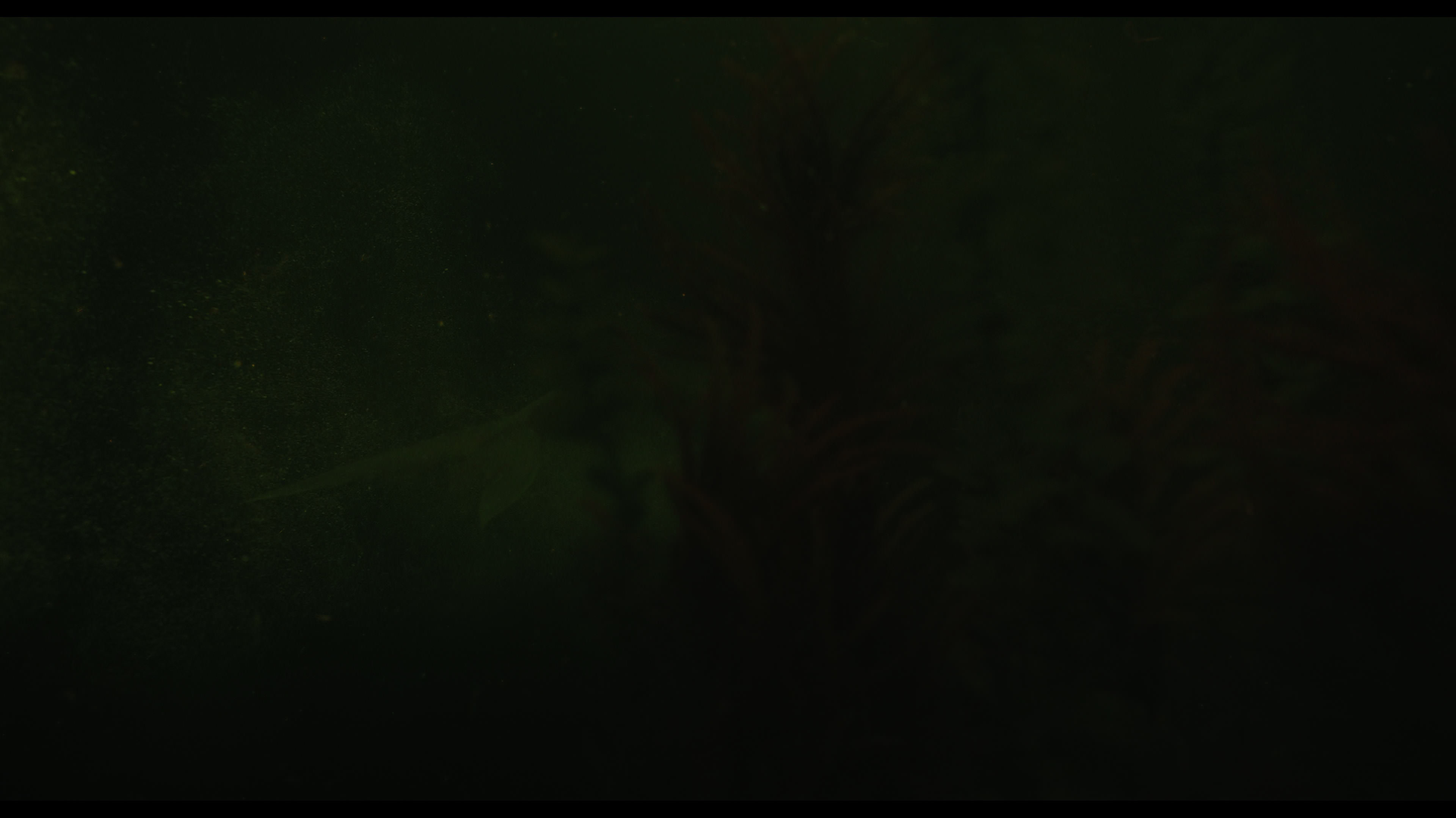 Wednesday S01E02 “Woe Is the Loneliest Number” HD screenshot 4985