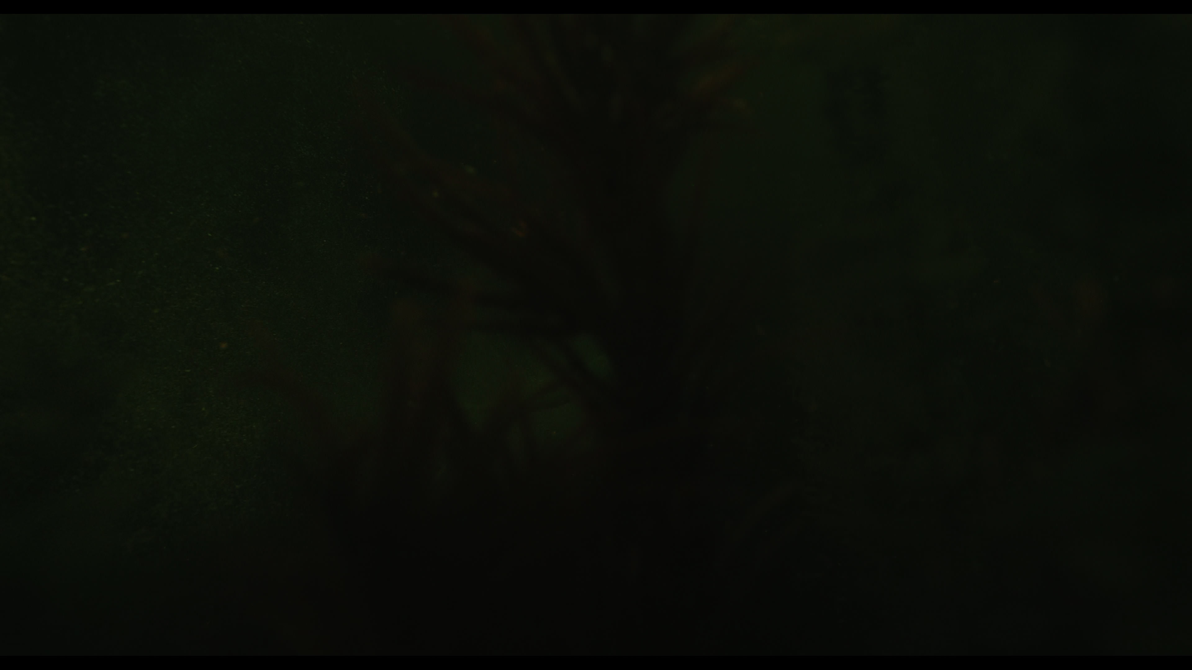 Wednesday S01E02 “Woe Is the Loneliest Number” screencap 4986