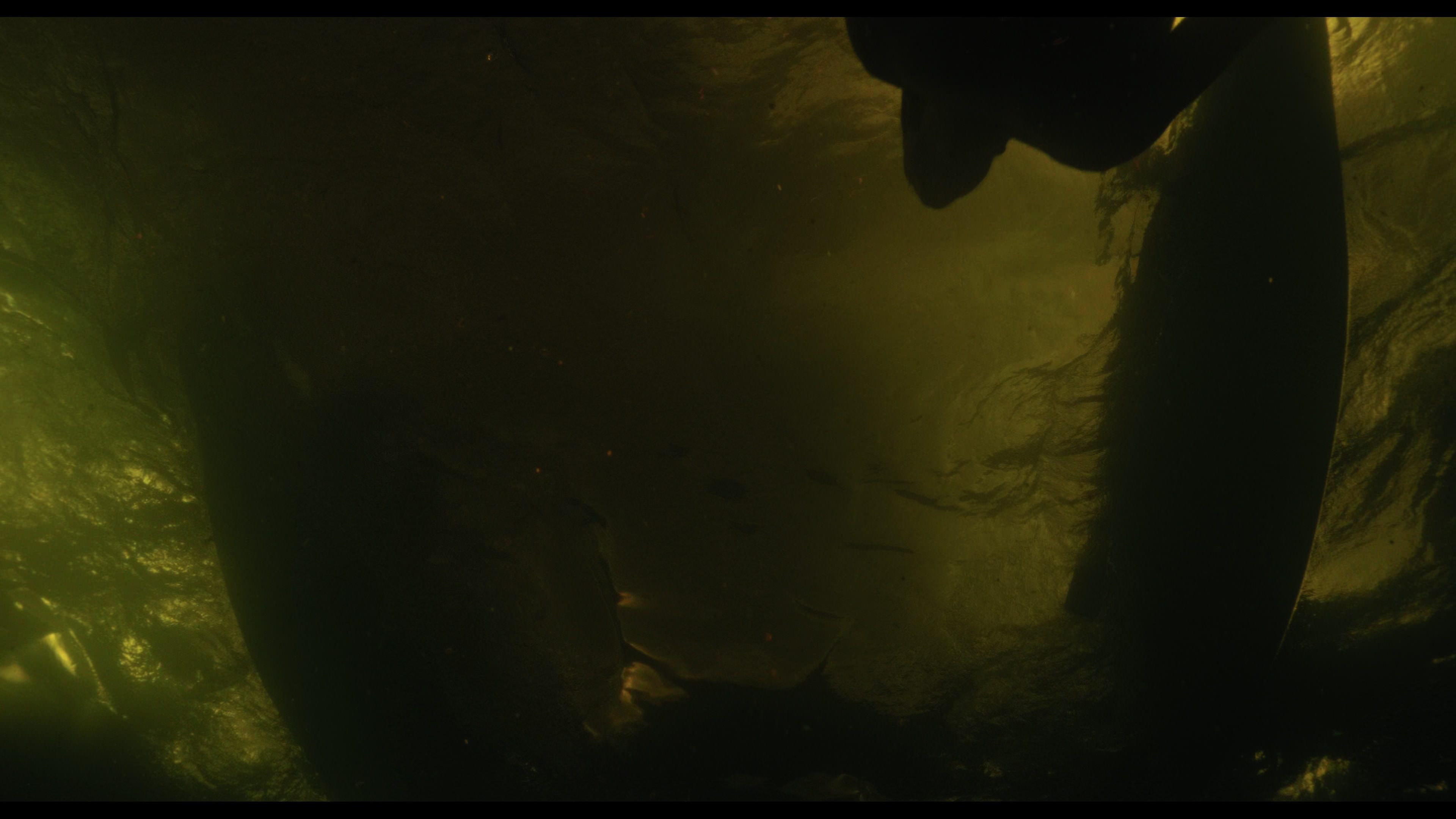 Wednesday S01E02 “Woe Is the Loneliest Number” screencap 5046