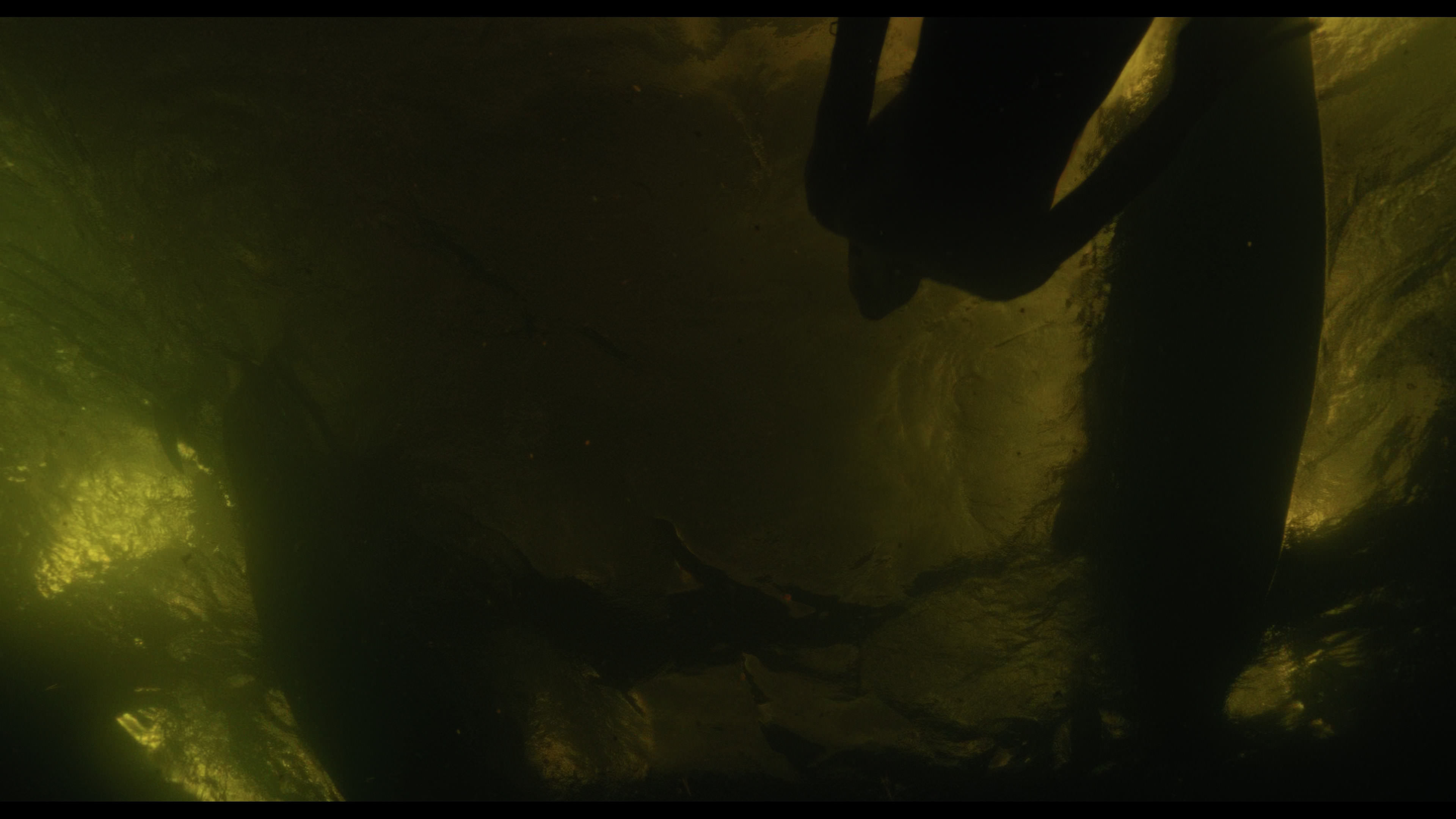 Wednesday S01E02 “Woe Is the Loneliest Number” movie still 5047