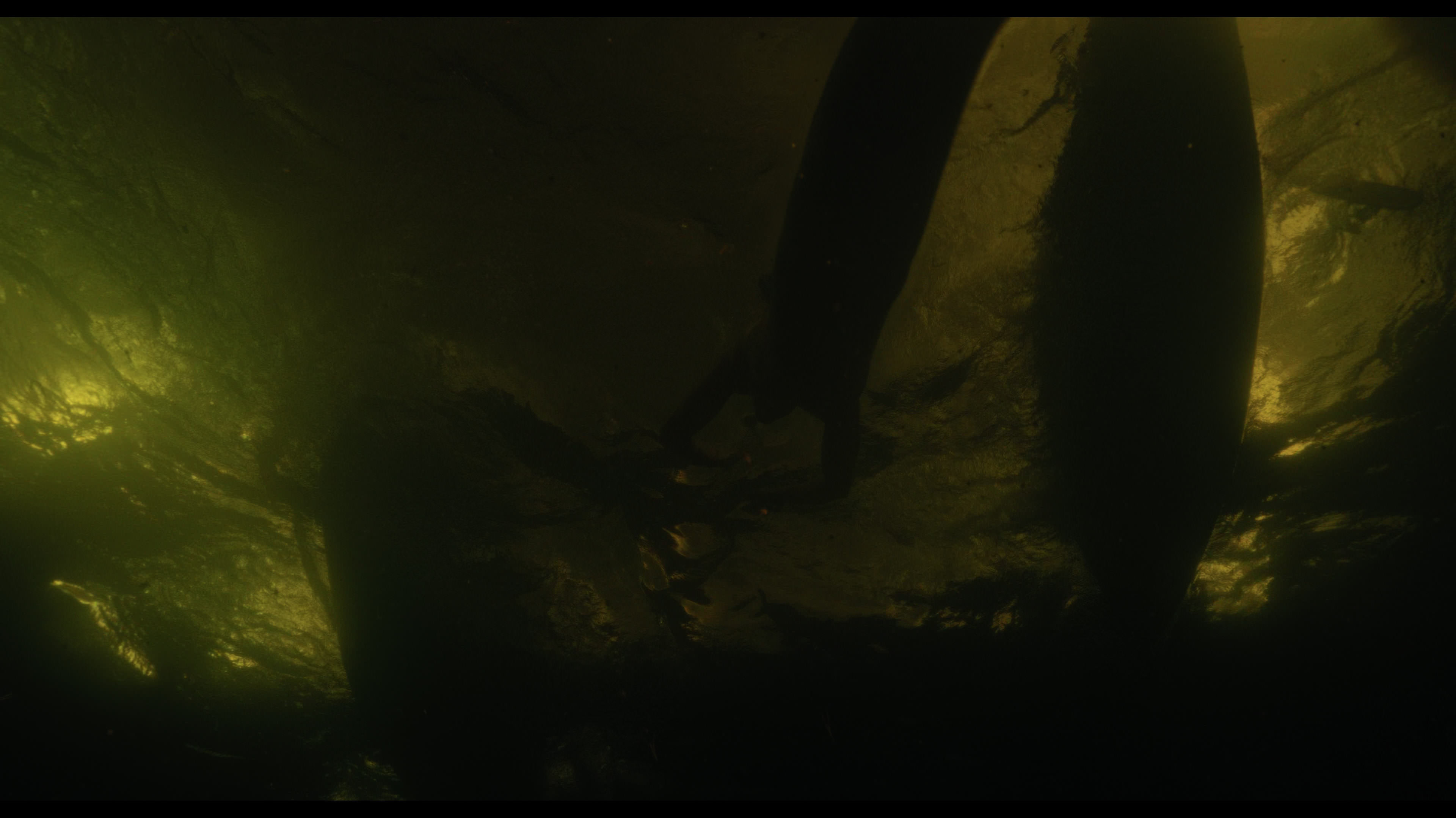 Wednesday S01E02 “Woe Is the Loneliest Number” movie still 5050