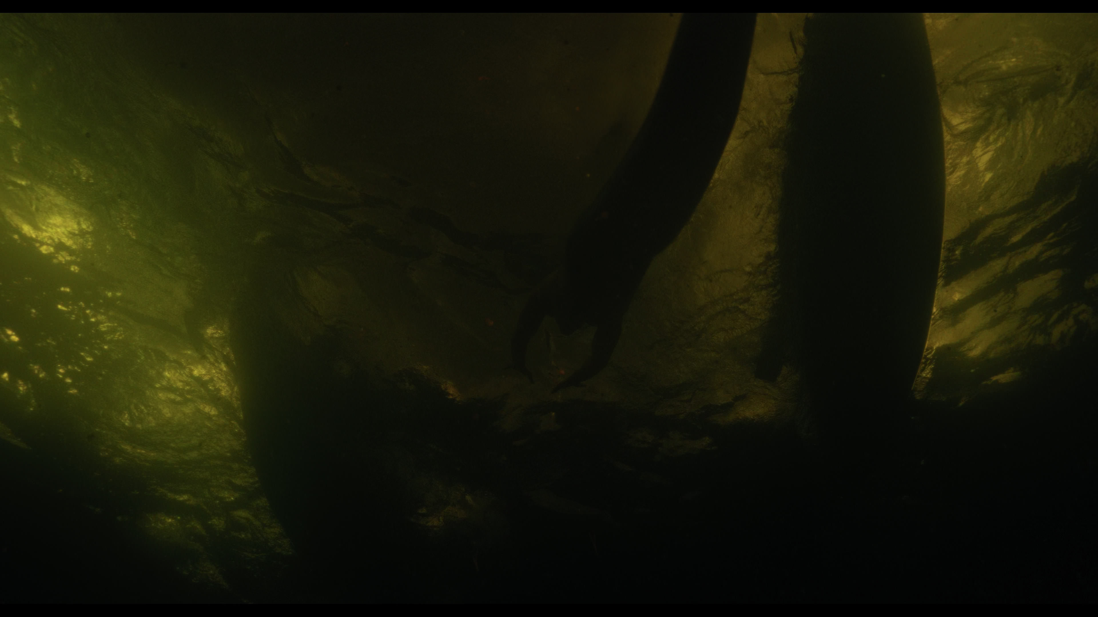Wednesday S01E02 “Woe Is the Loneliest Number” HD screenshot 5051