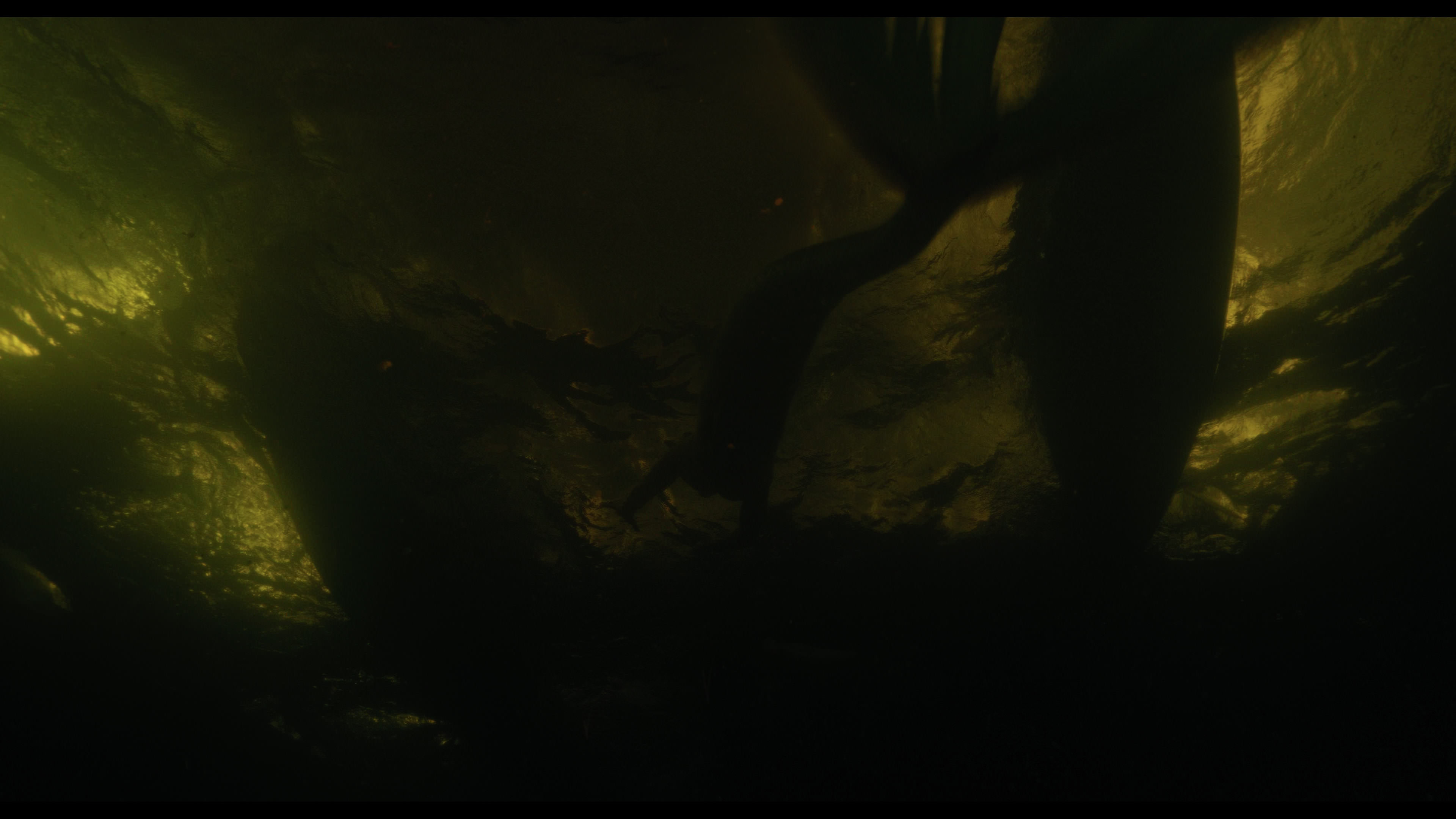 Wednesday S01E02 “Woe Is the Loneliest Number” movie still 5053