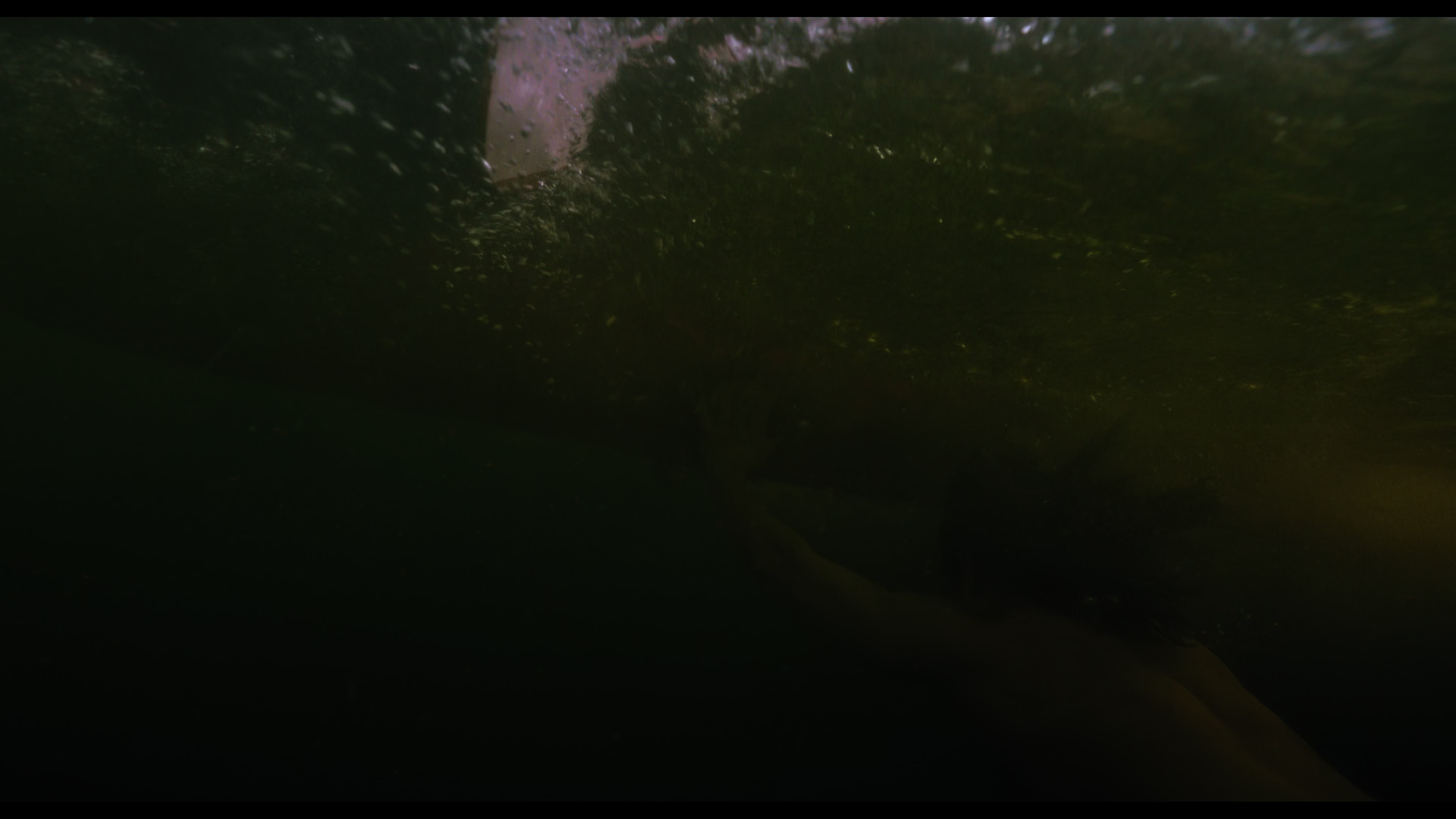 Wednesday S01E02 “Woe Is the Loneliest Number” screencap 5082