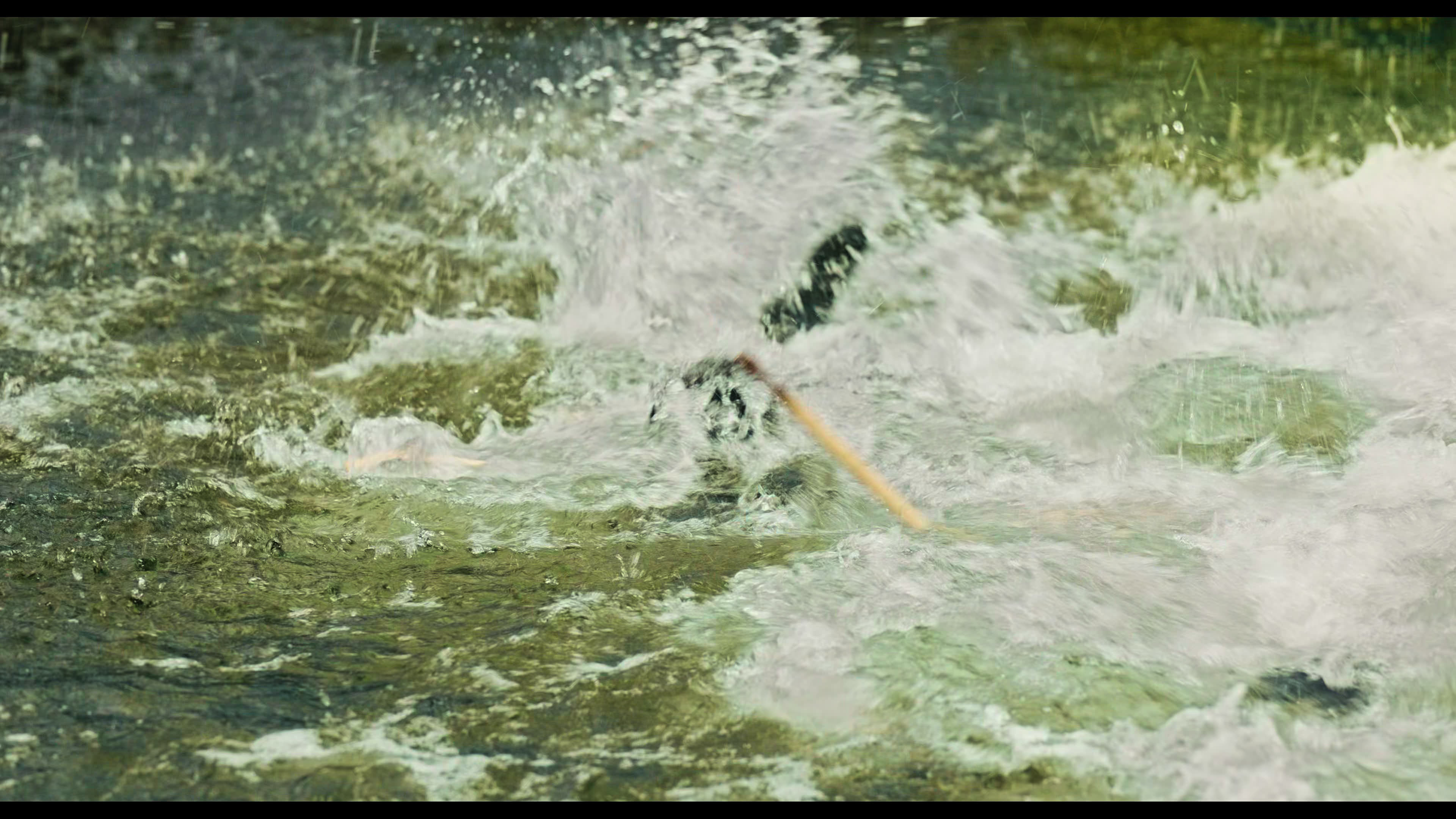Wednesday S01E02 “Woe Is the Loneliest Number” HD screenshot 5099