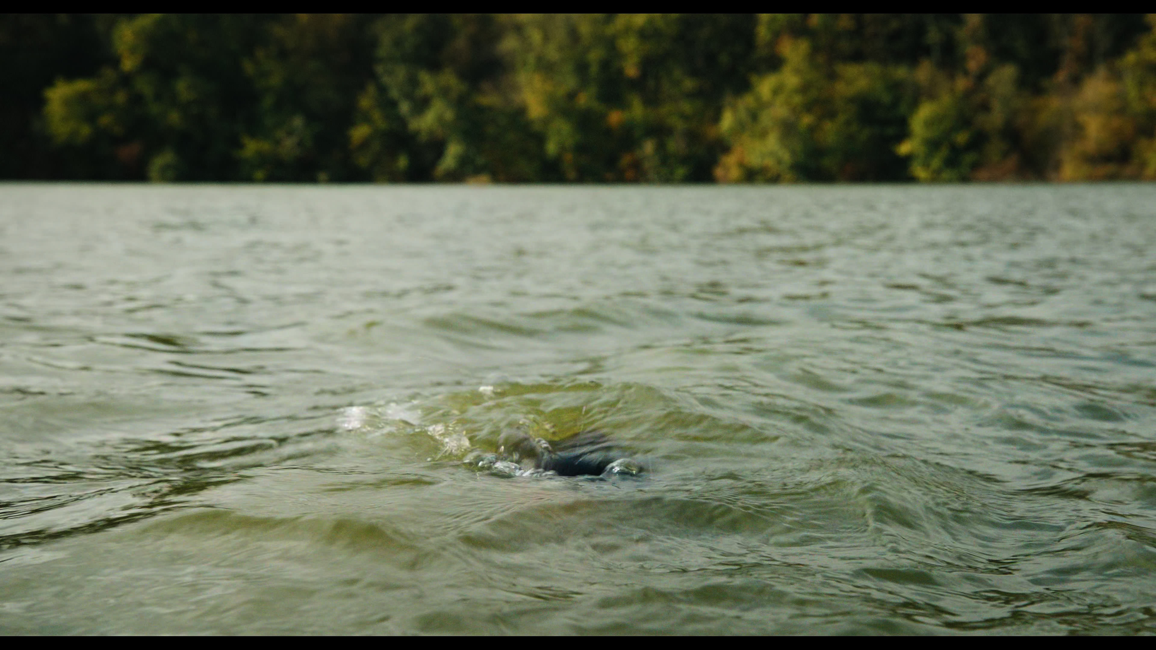 Wednesday S01E02 “Woe Is the Loneliest Number” movie still 5116
