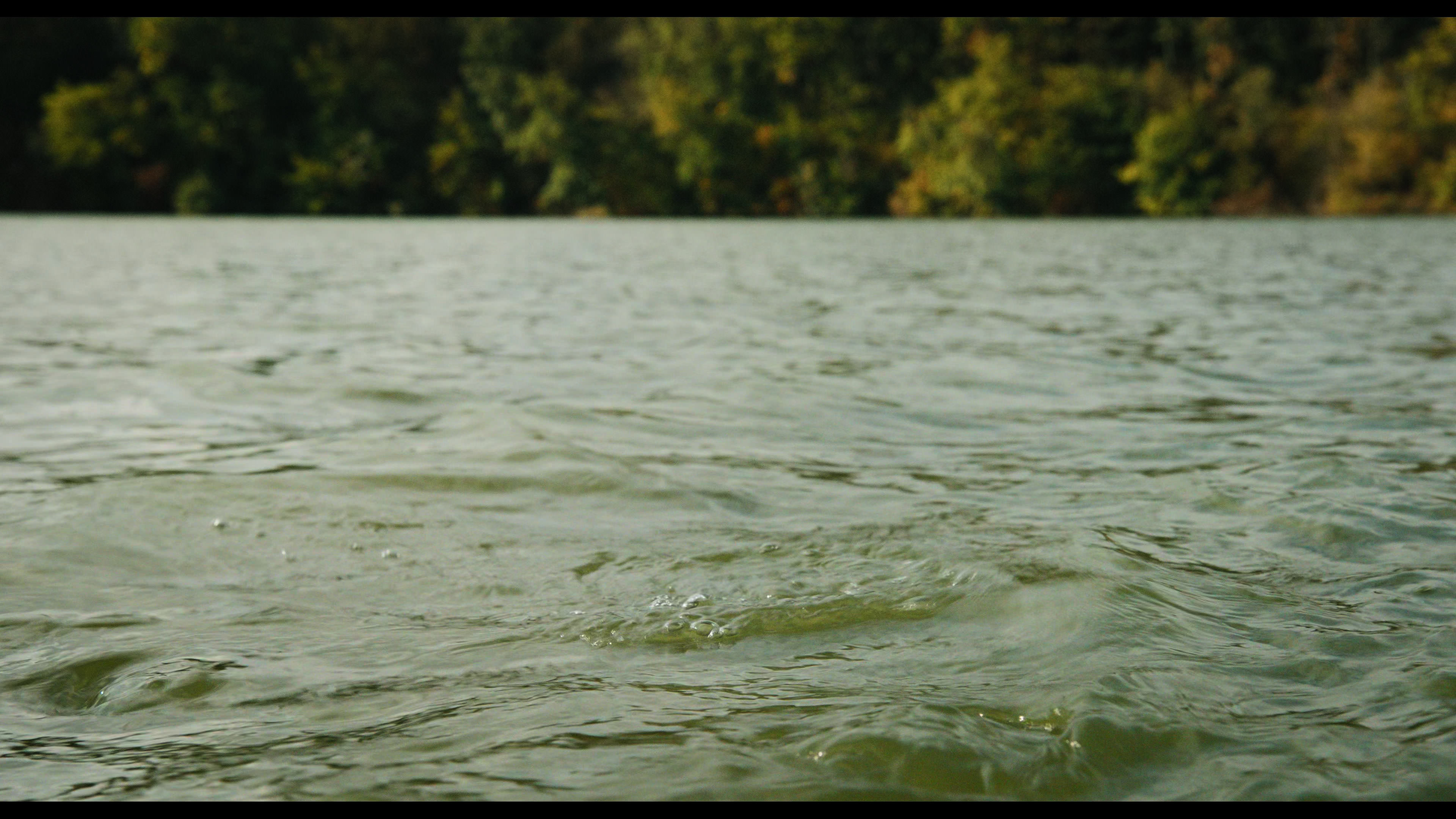 Wednesday S01E02 “Woe Is the Loneliest Number” HD screenshot 5117