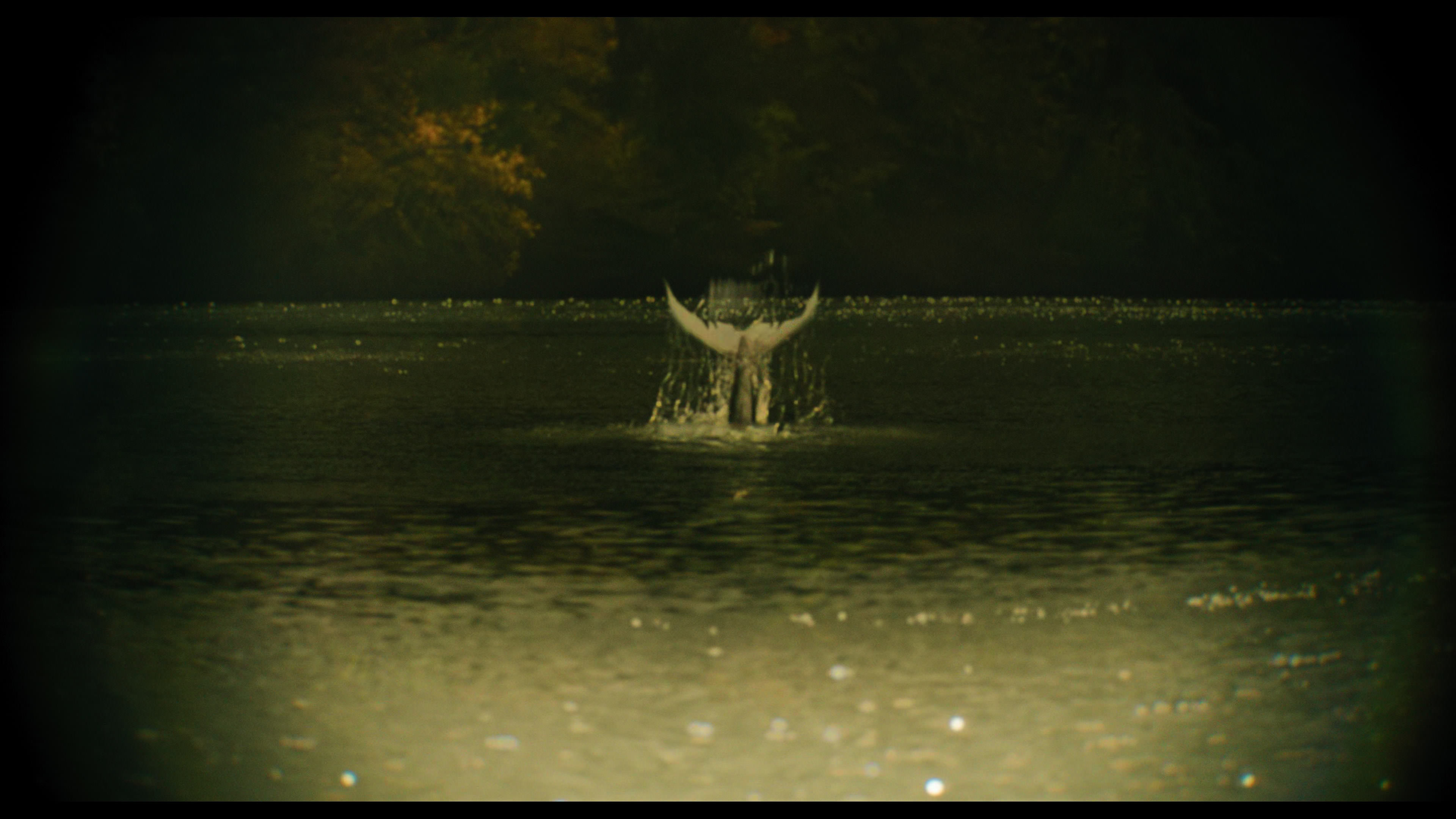 Wednesday S01E02 “Woe Is the Loneliest Number” HD screenshot 5147