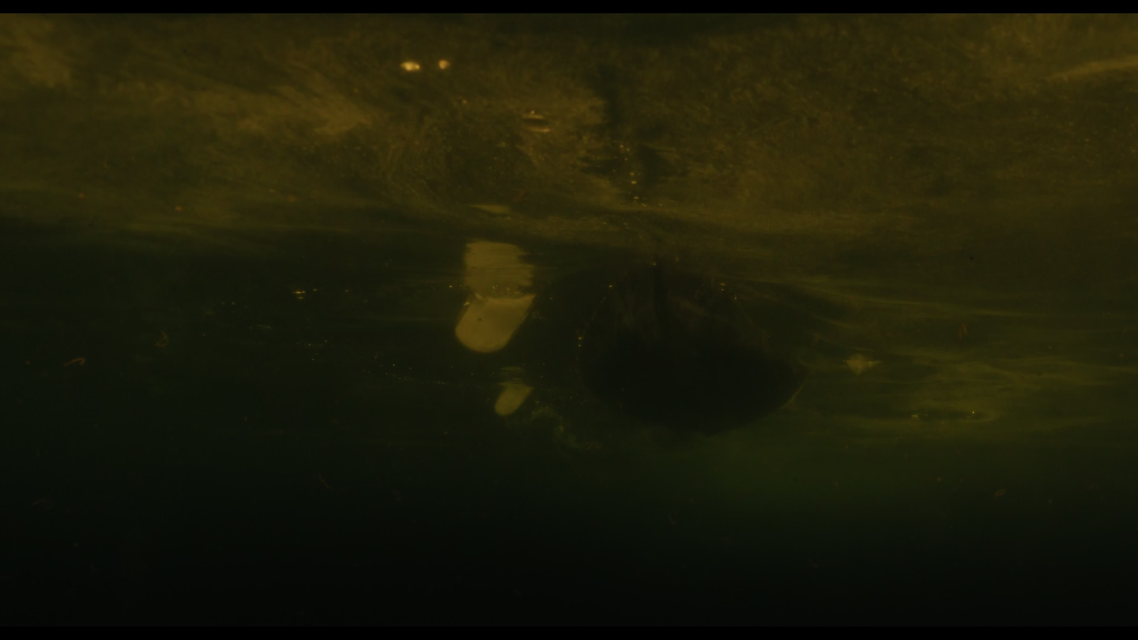 Wednesday S01E02 “Woe Is the Loneliest Number” movie still 5167