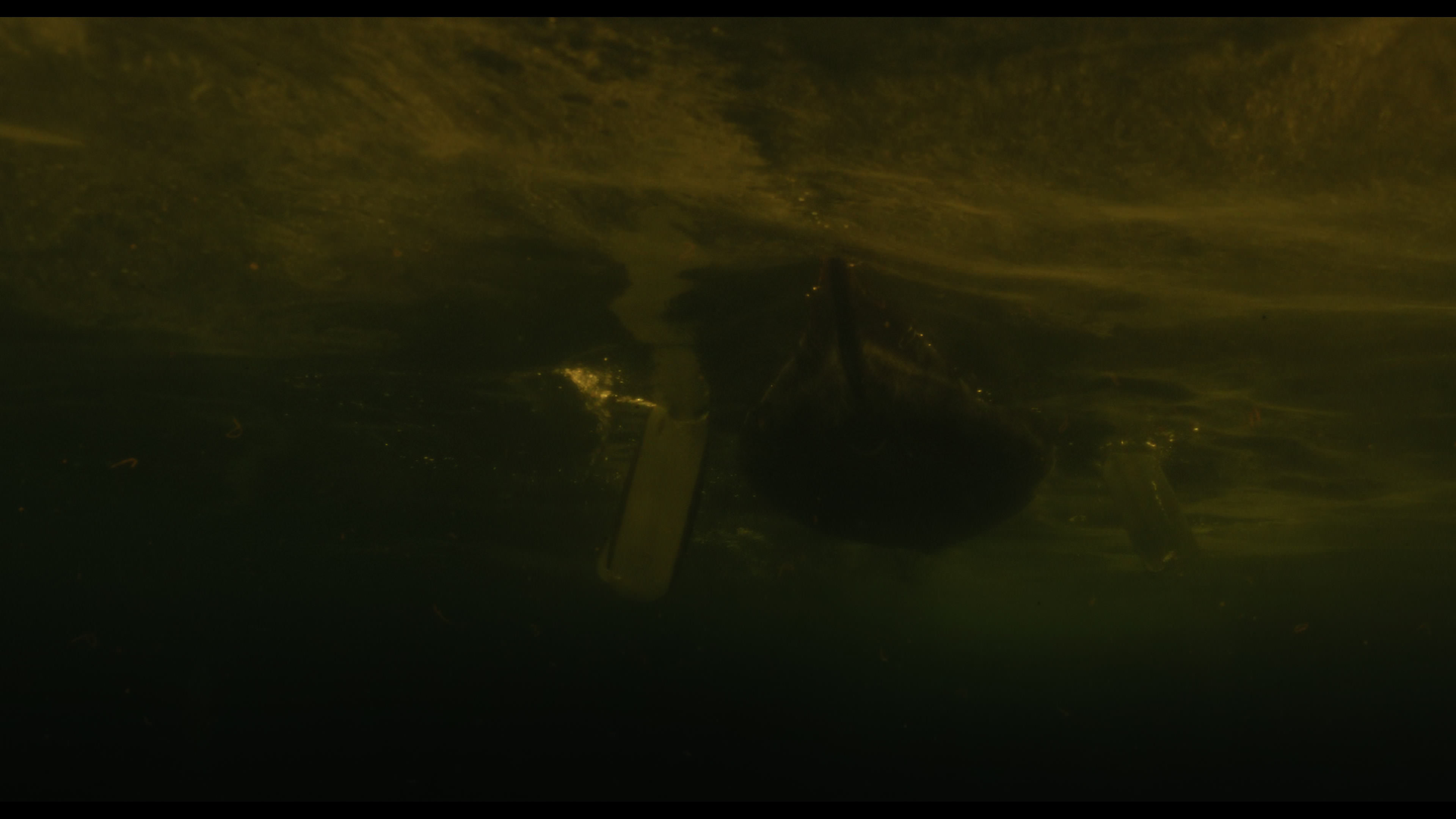 Wednesday S01E02 “Woe Is the Loneliest Number” HD screenshot 5168