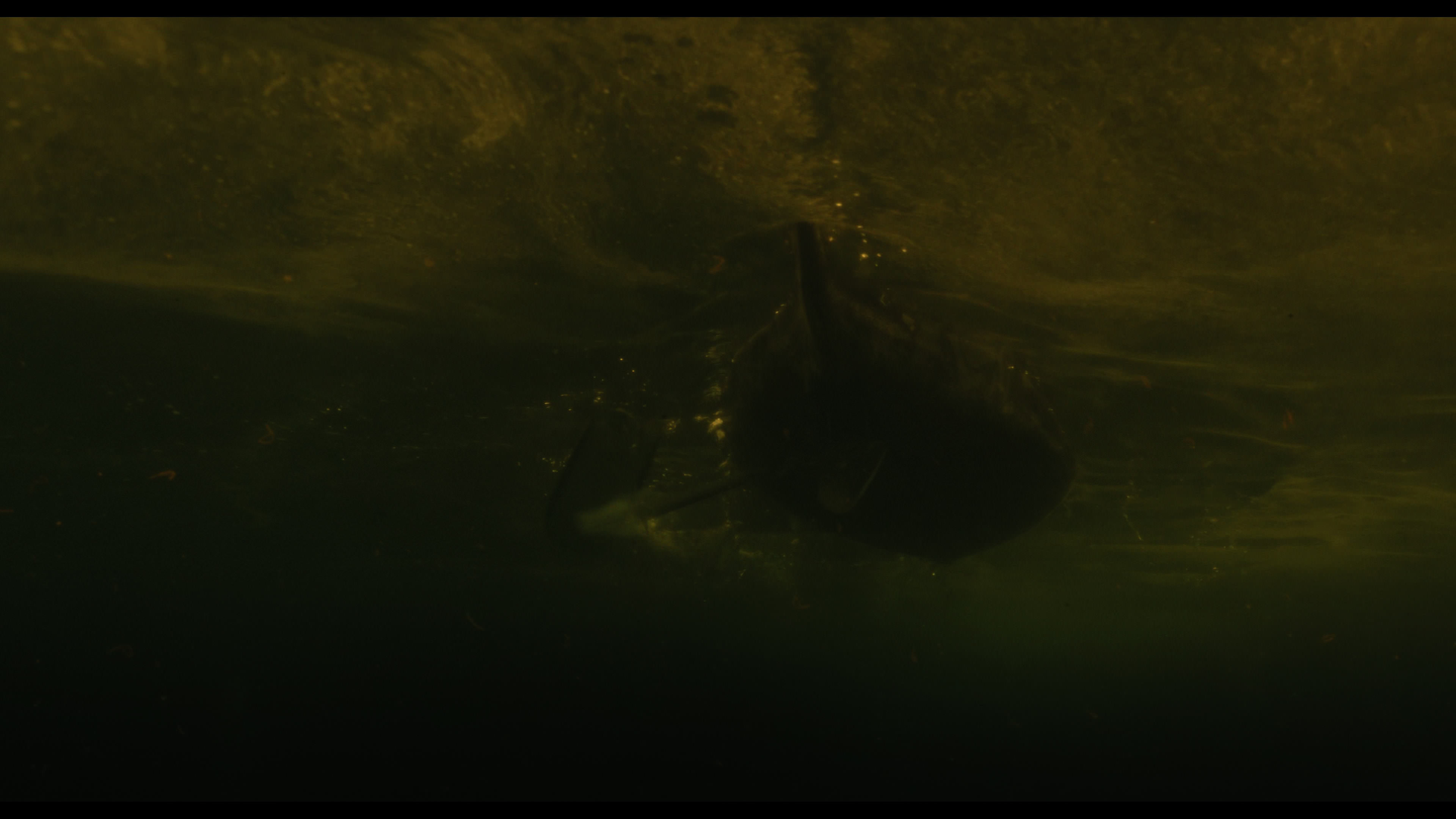 Wednesday S01E02 “Woe Is the Loneliest Number” screencap 5169