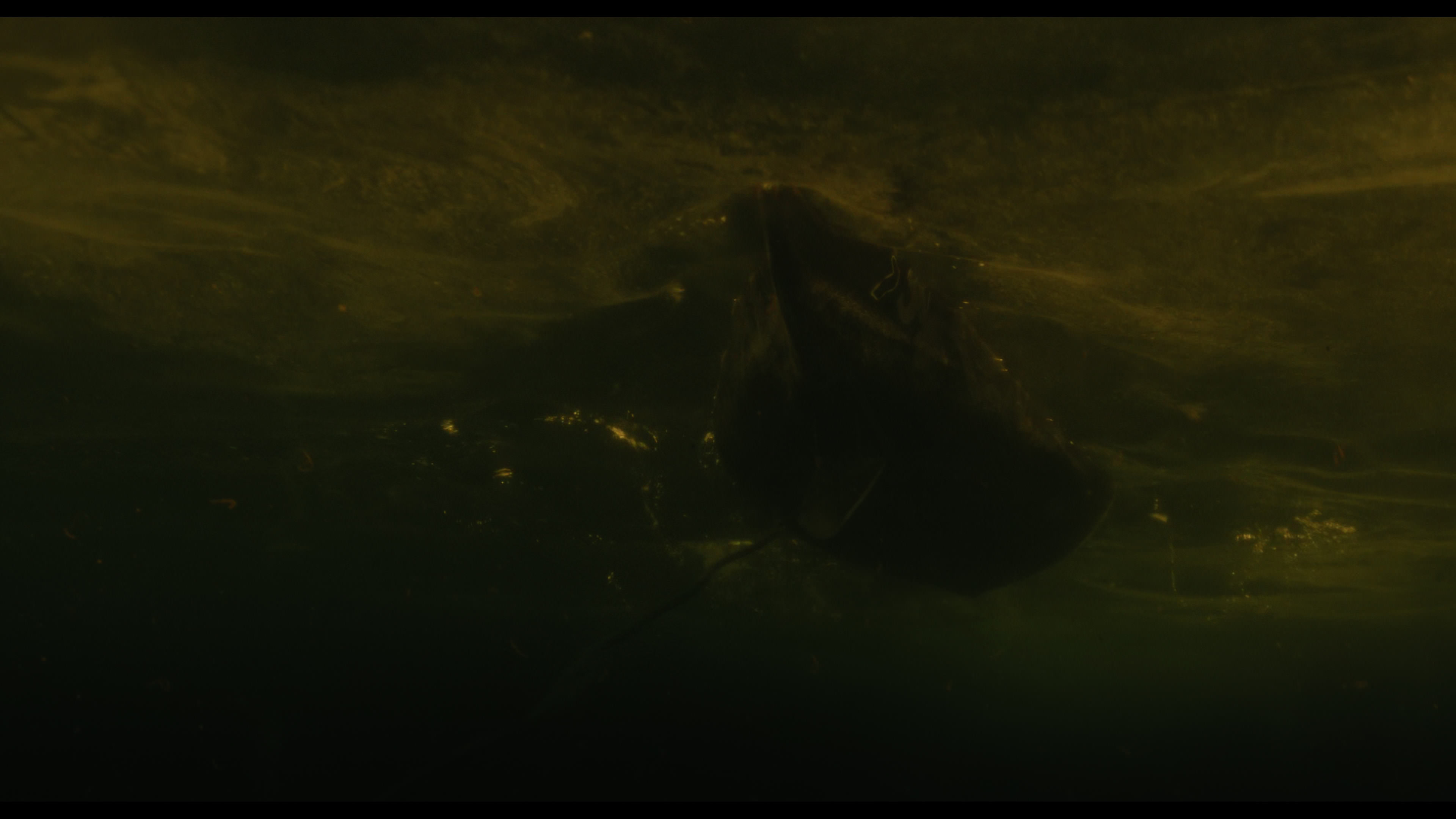 Wednesday S01E02 “Woe Is the Loneliest Number” movie still 5170