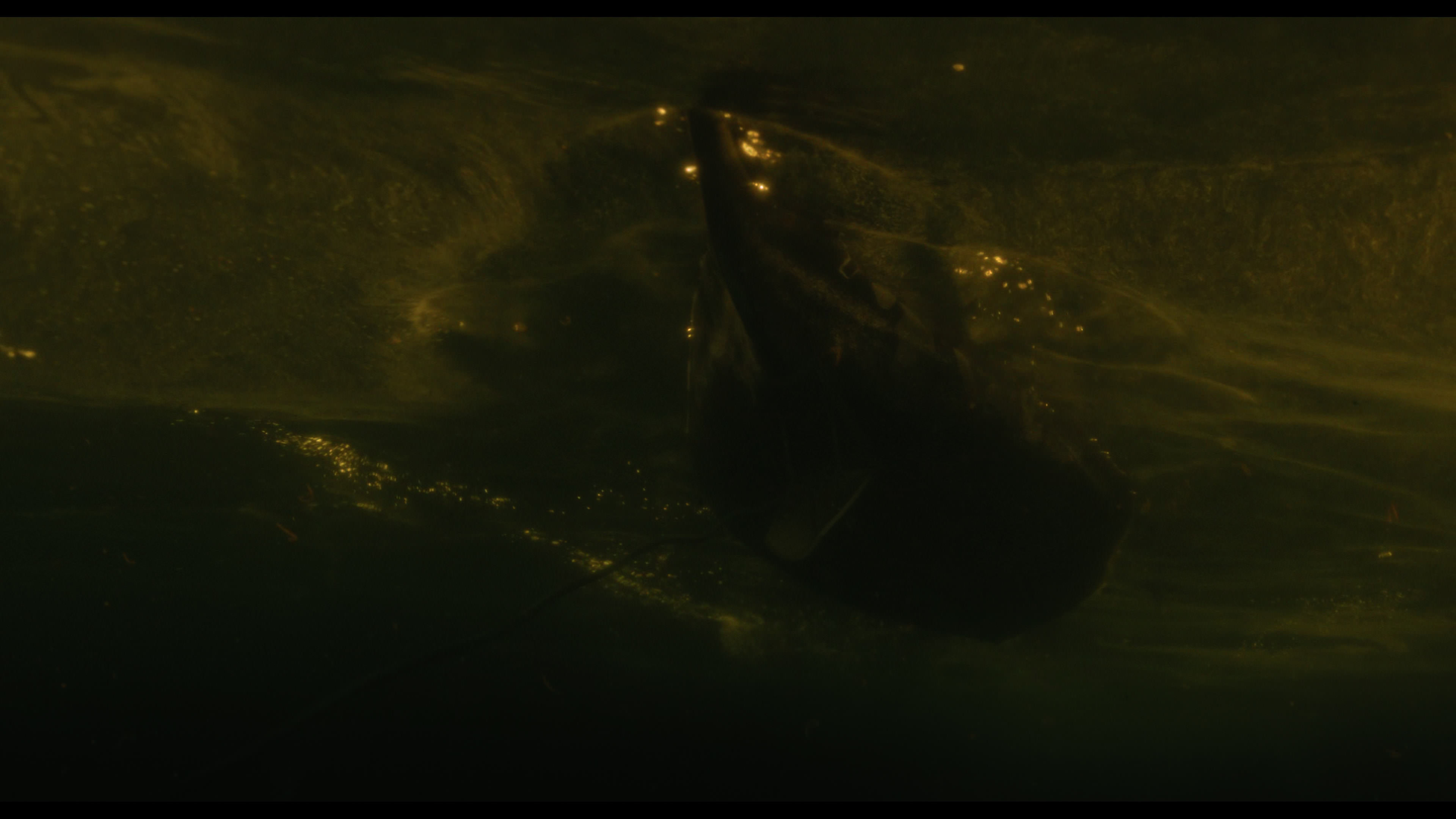 Wednesday S01E02 “Woe Is the Loneliest Number” HD screenshot 5171