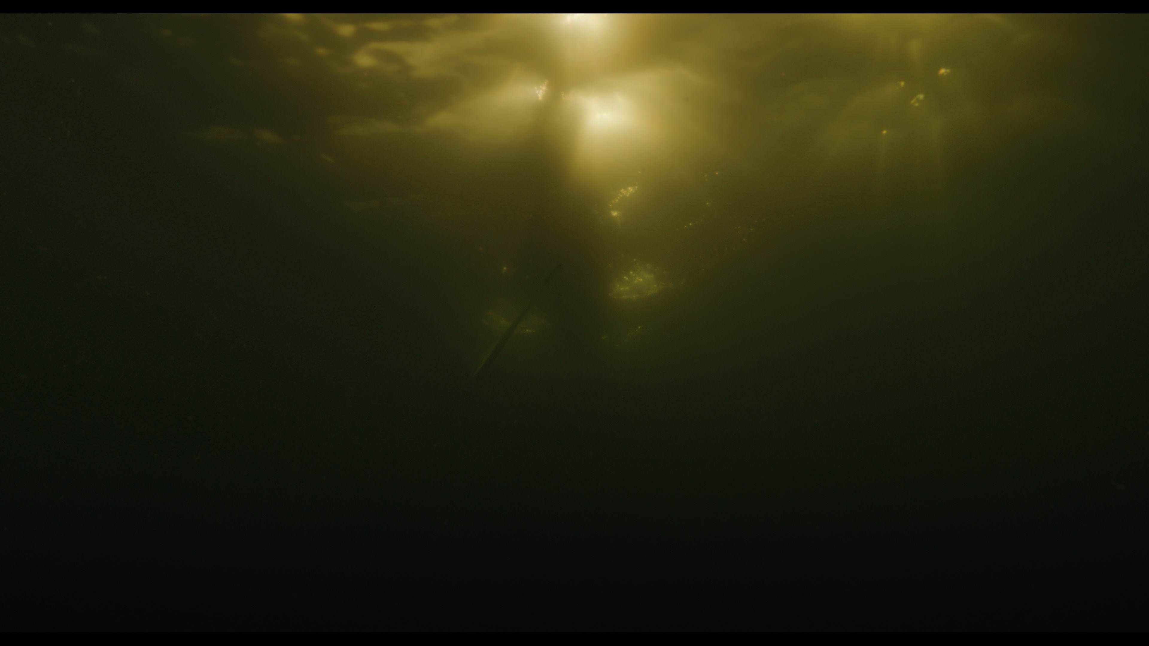 Wednesday S01E02 “Woe Is the Loneliest Number” movie still 5176