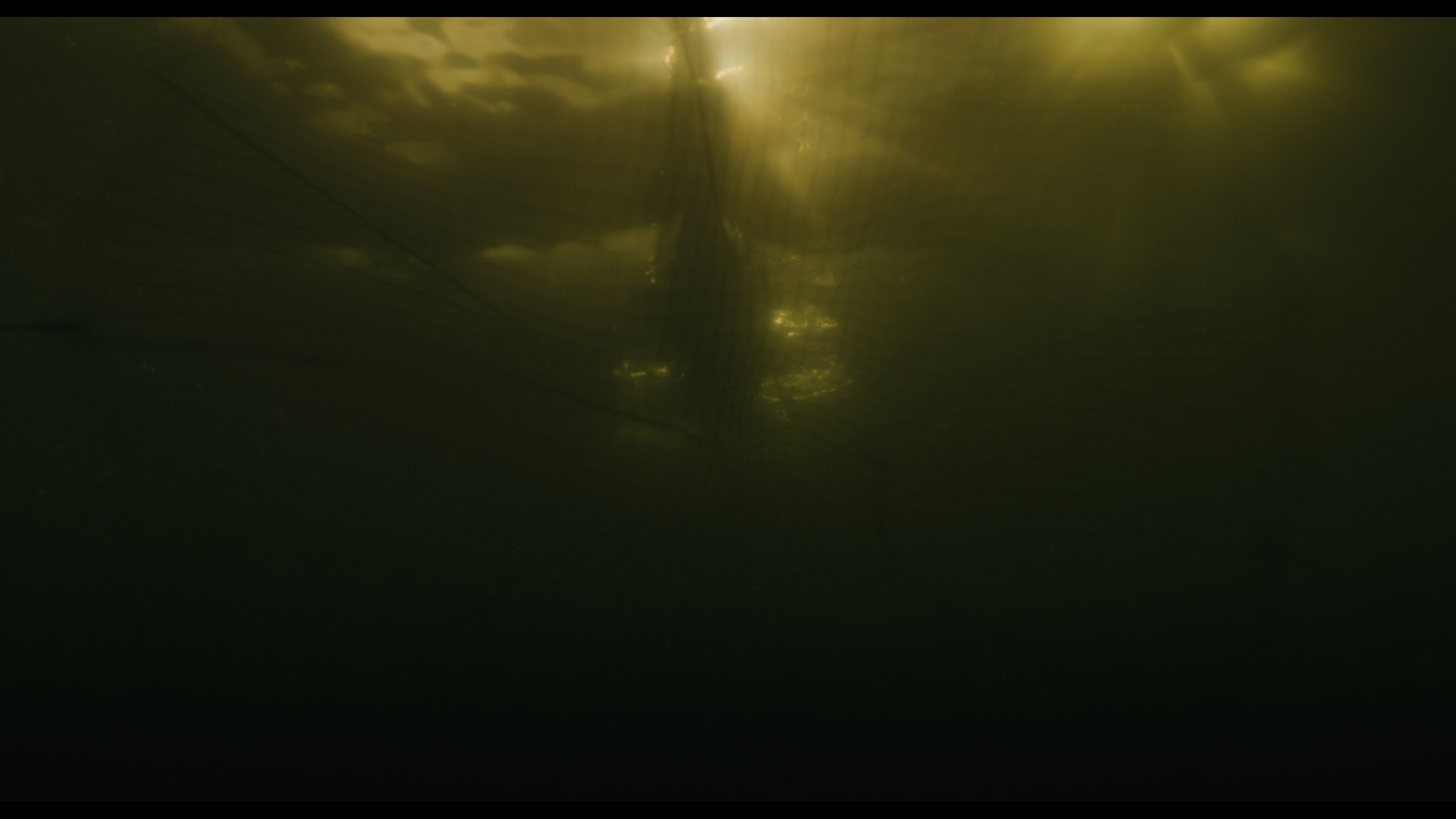 Wednesday S01E02 “Woe Is the Loneliest Number” screencap 5178
