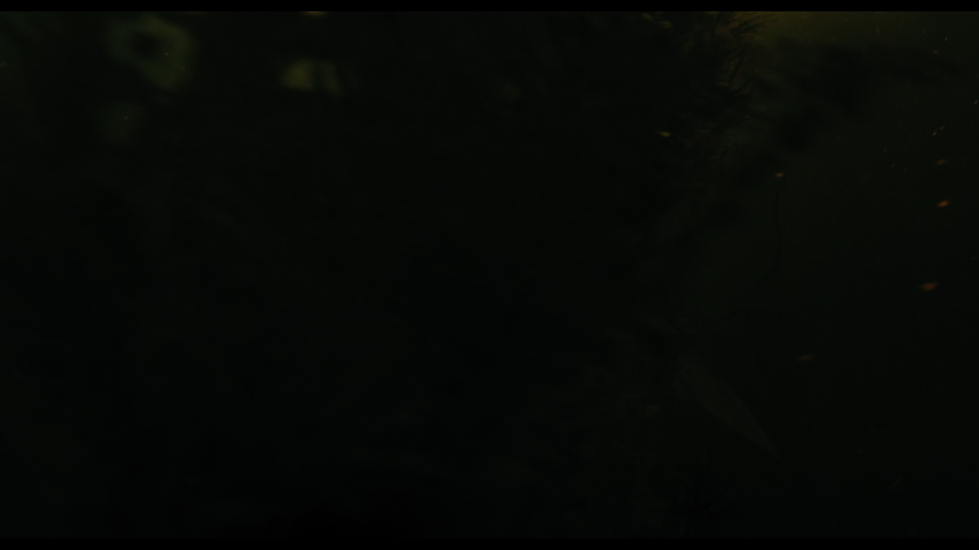 Wednesday S01E02 “Woe Is the Loneliest Number” screencap 5184