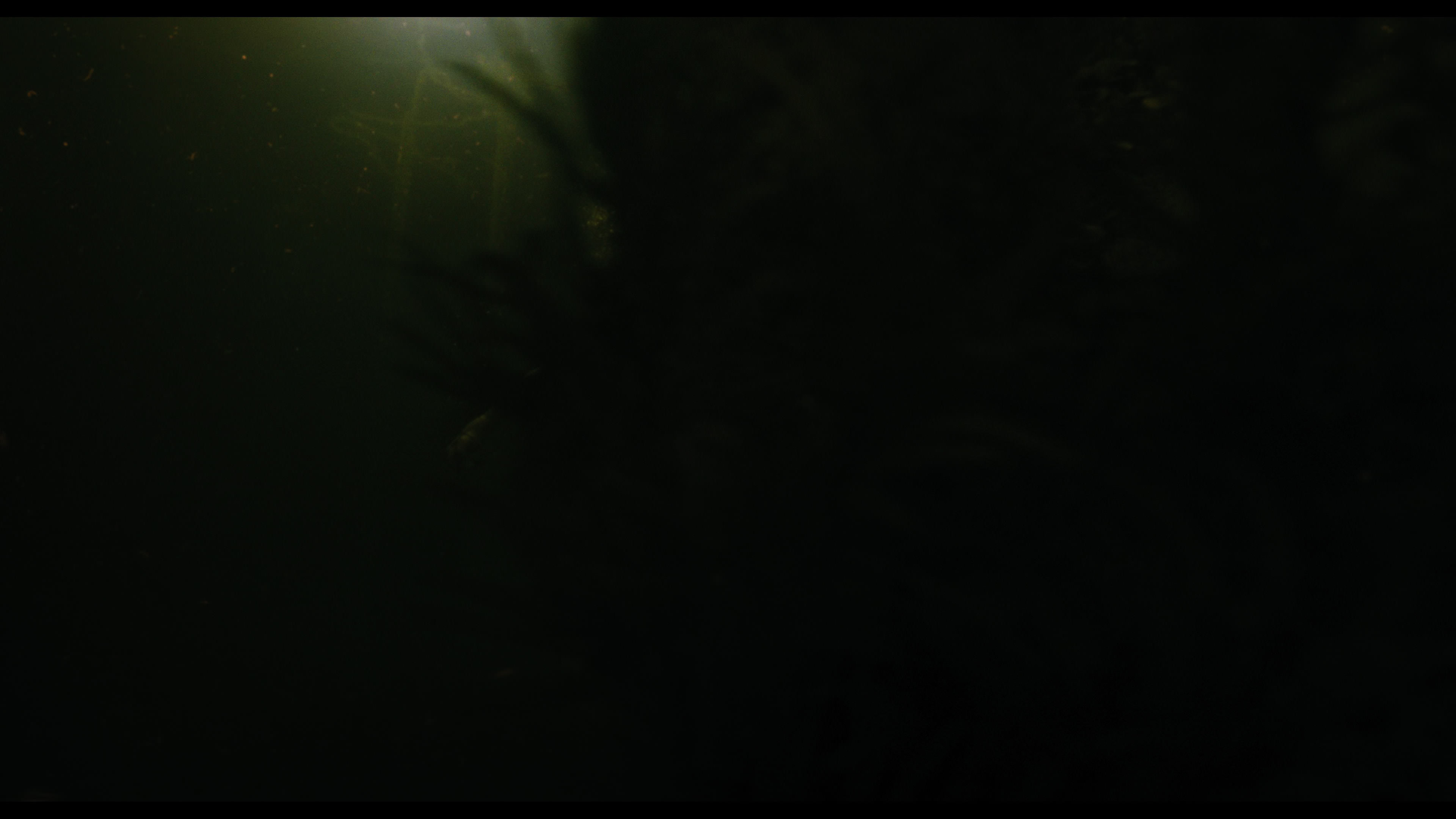 Wednesday S01E02 “Woe Is the Loneliest Number” movie still 5185