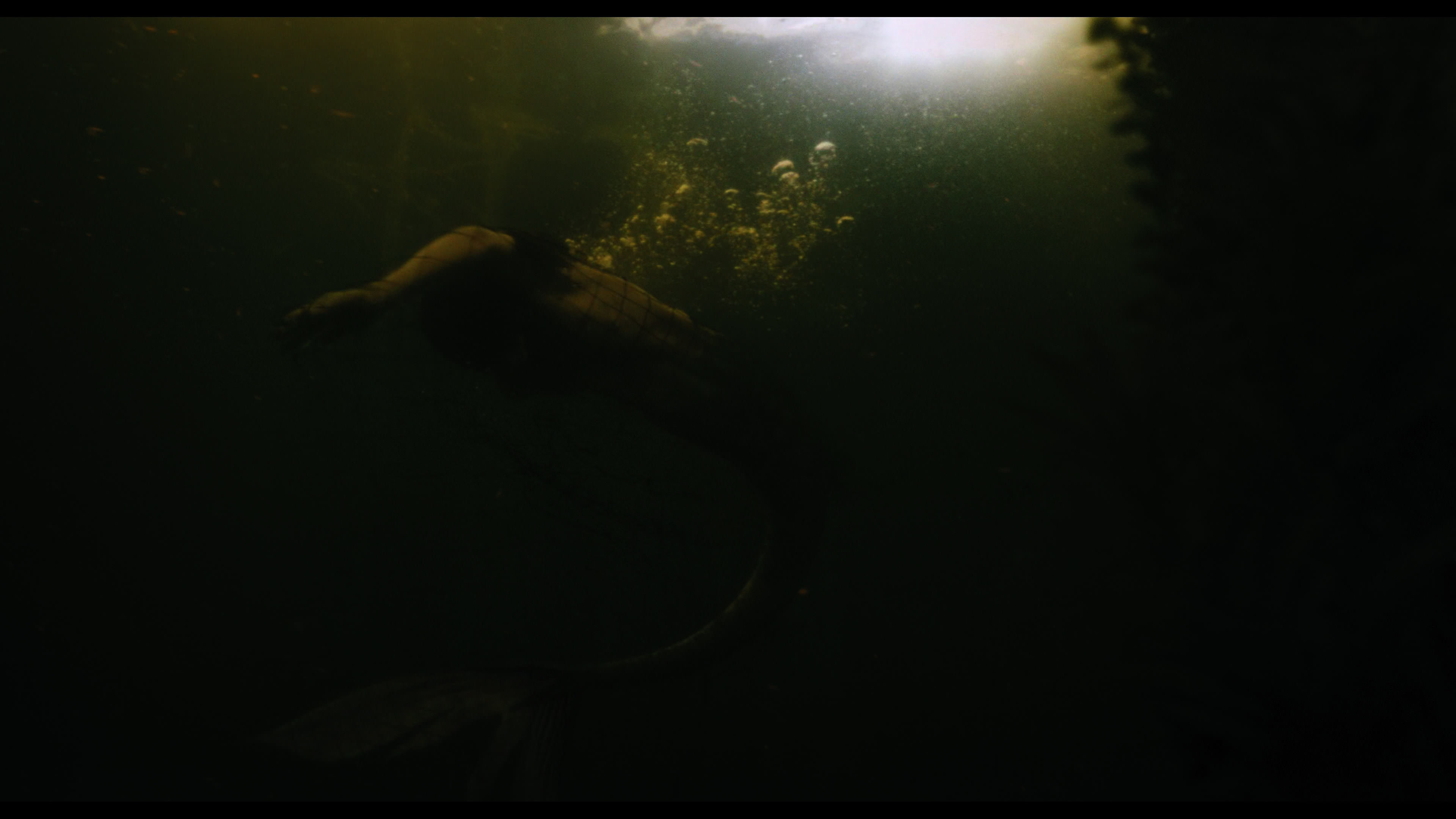 Wednesday S01E02 “Woe Is the Loneliest Number” movie still 5188