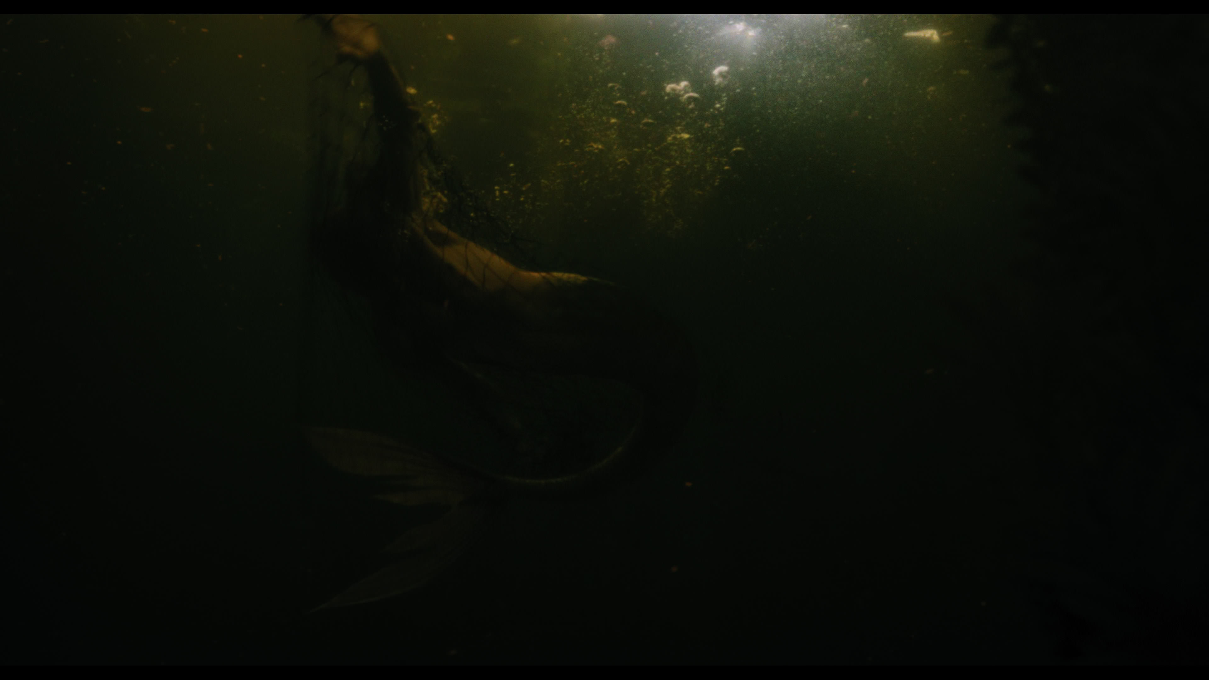 Wednesday S01E02 “Woe Is the Loneliest Number” HD screenshot 5189