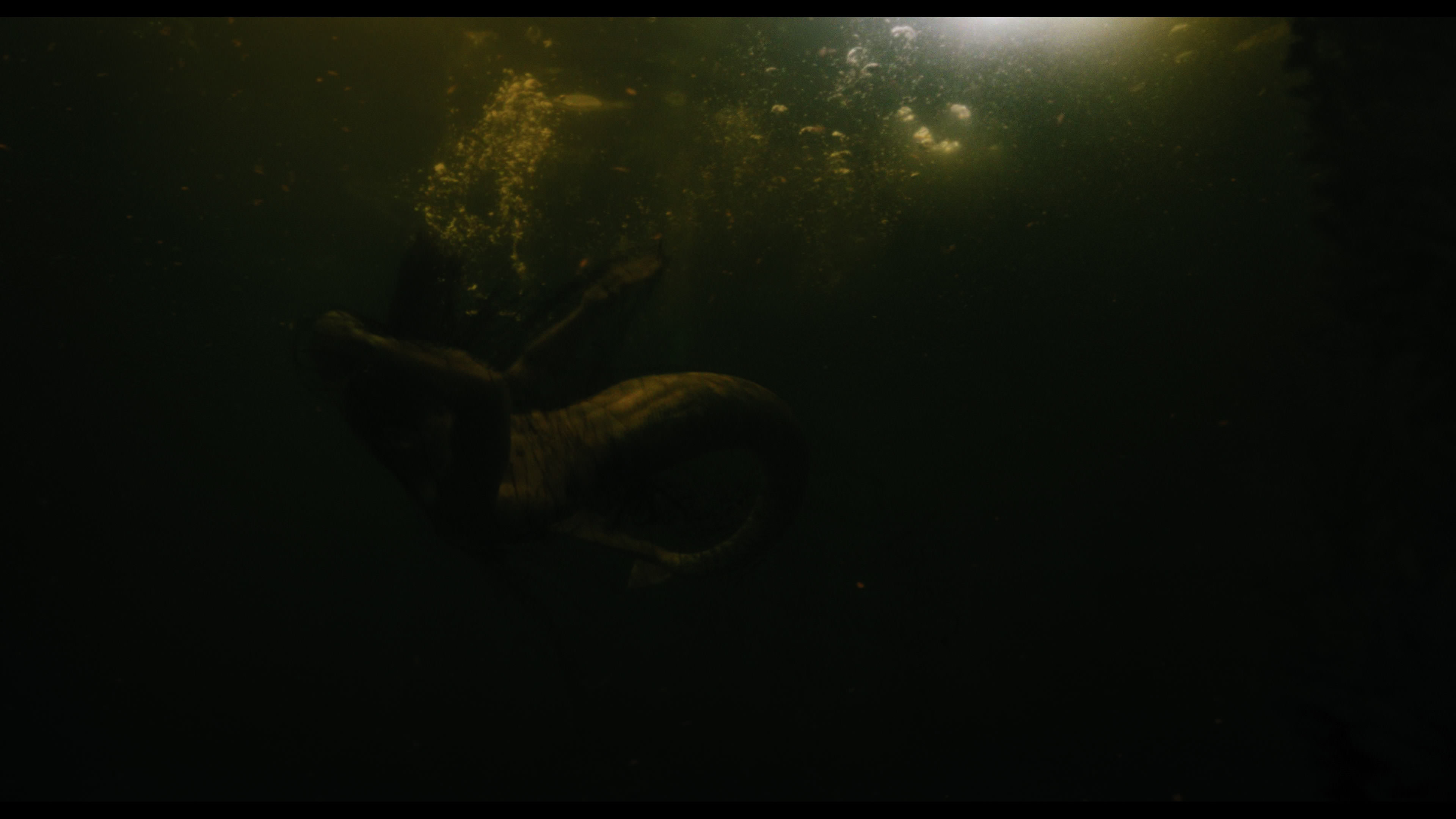 Wednesday S01E02 “Woe Is the Loneliest Number” screencap 5190