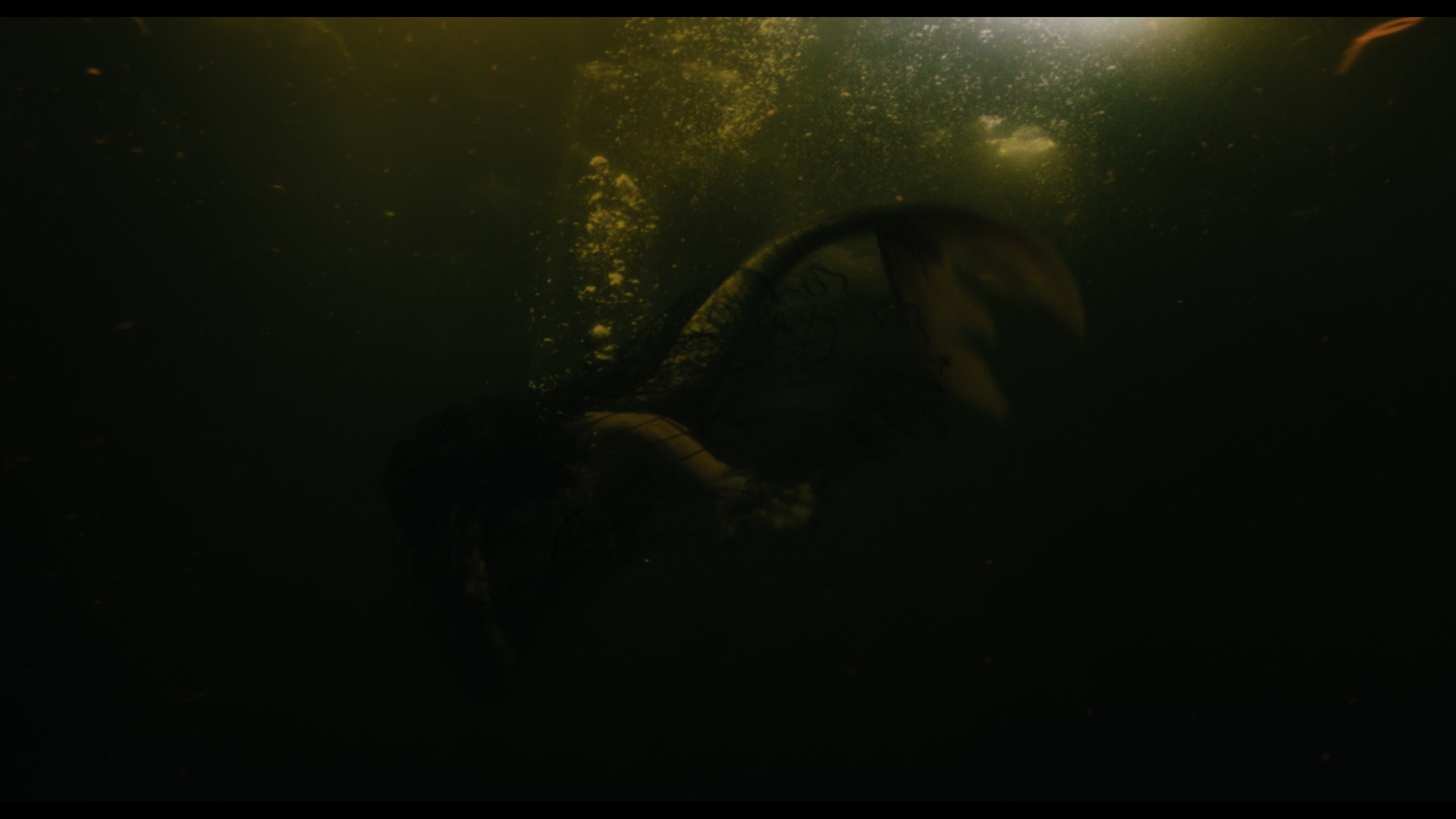 Wednesday S01E02 “Woe Is the Loneliest Number” screencap 5193