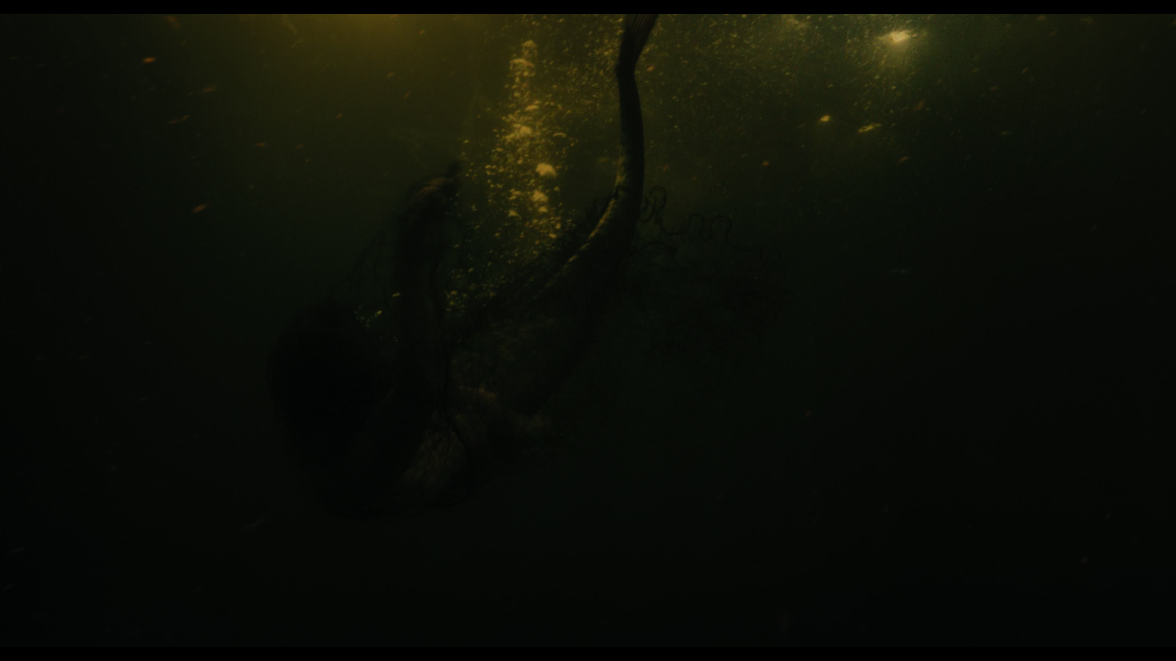 Wednesday S01E02 “Woe Is the Loneliest Number” movie still 5194