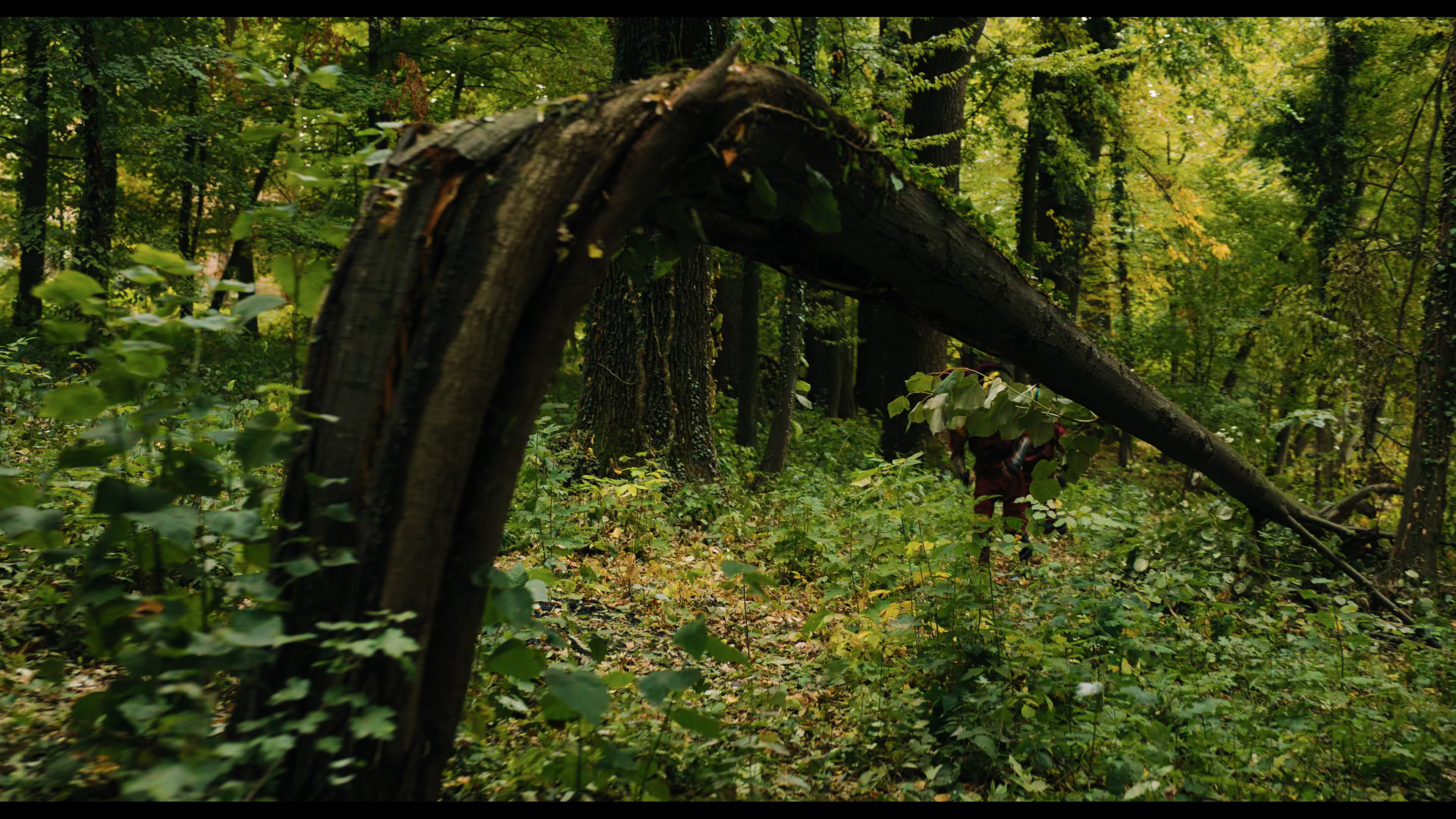 Wednesday S01E02 “Woe Is the Loneliest Number” movie still 5215