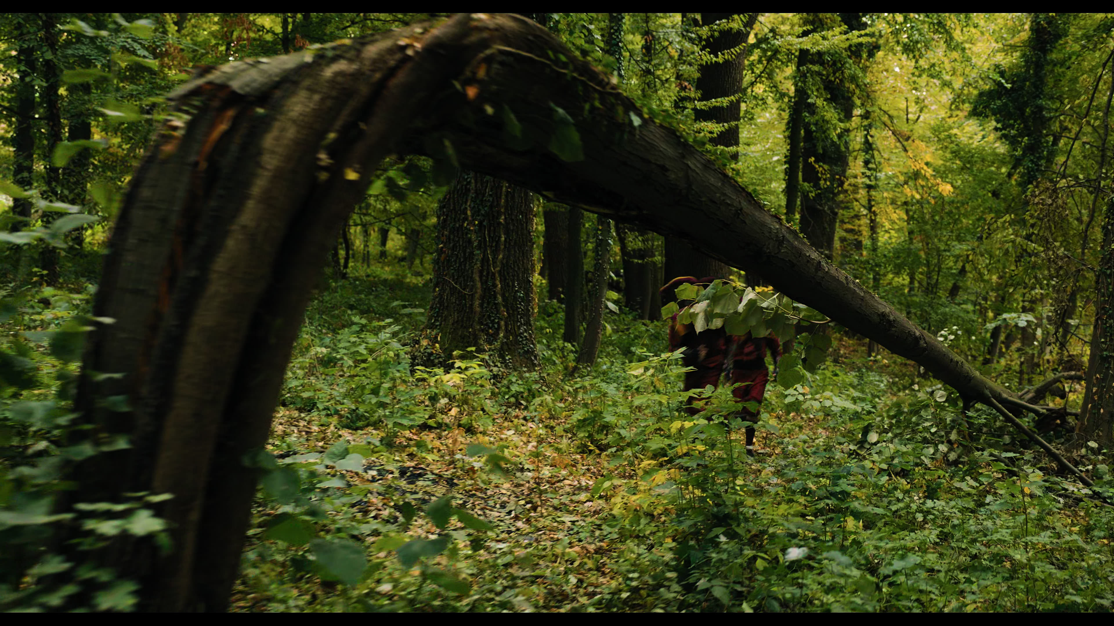 Wednesday S01E02 “Woe Is the Loneliest Number” HD screenshot 5216