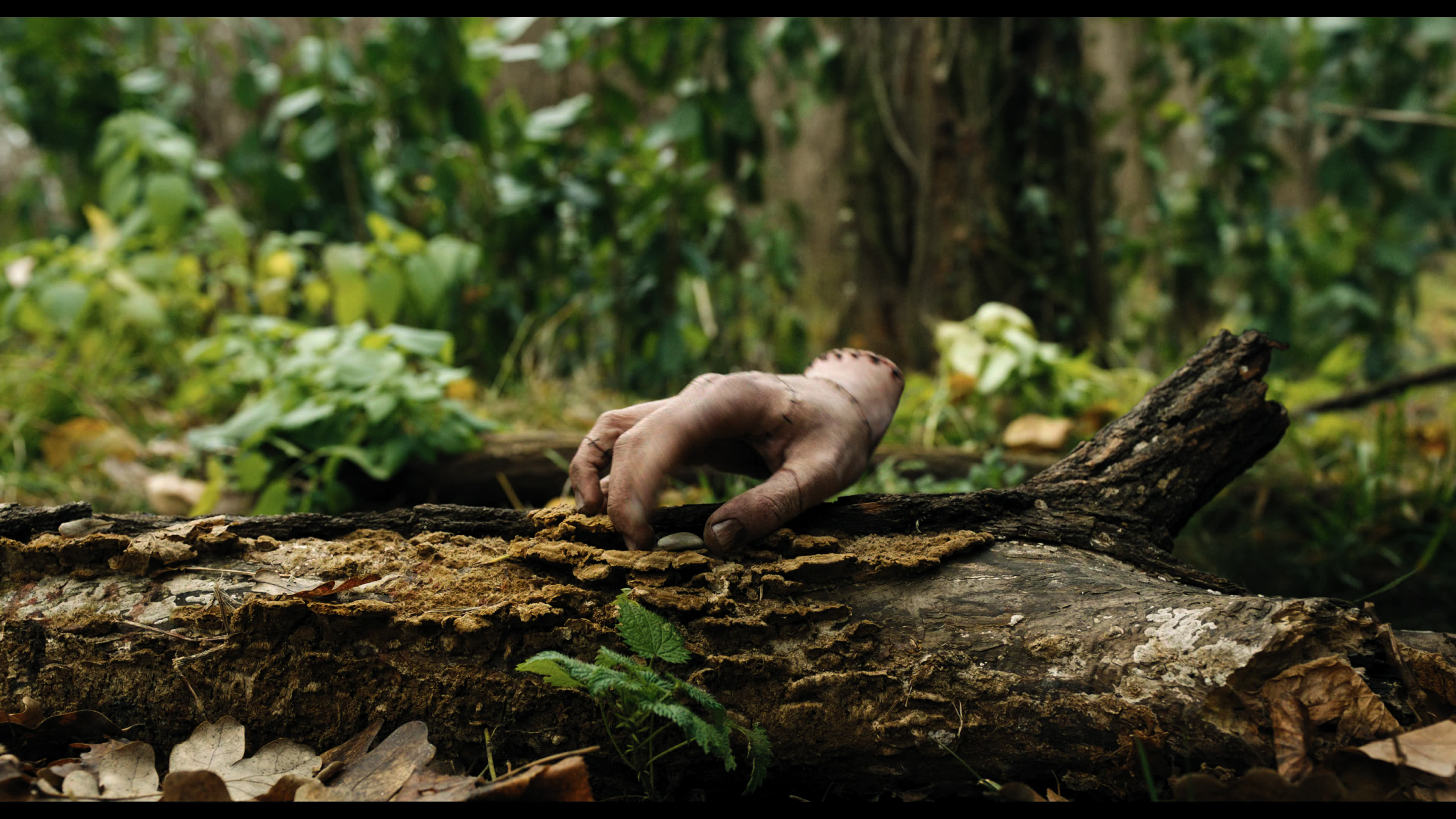 Wednesday S01E02 “Woe Is the Loneliest Number” movie still 5278