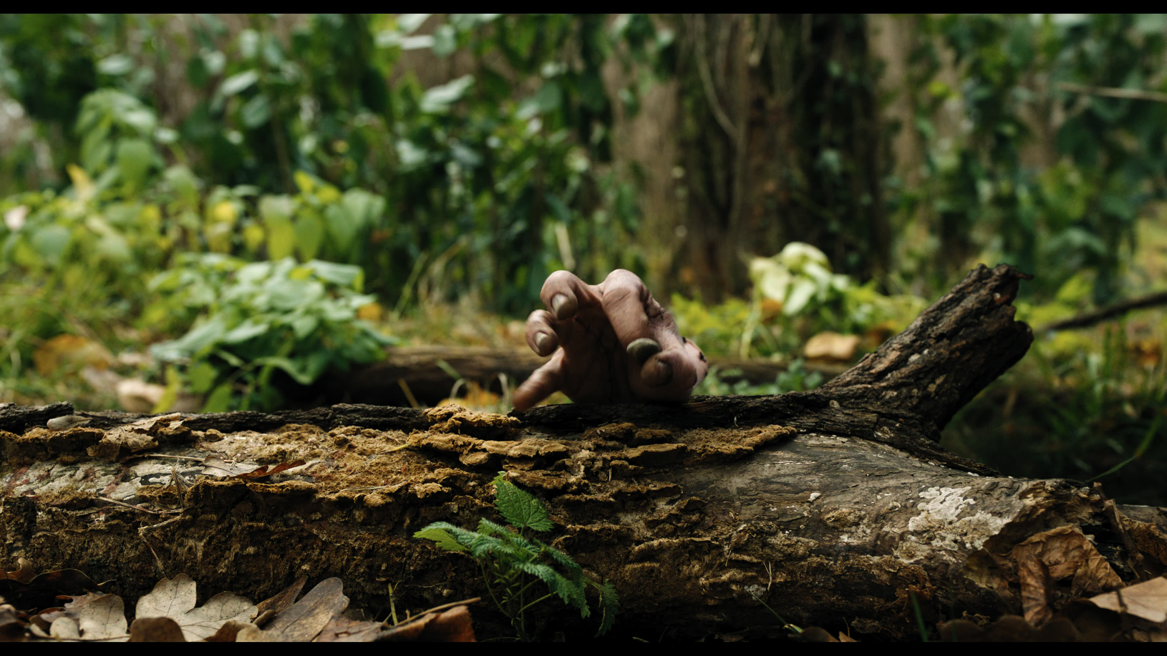 Wednesday S01E02 “Woe Is the Loneliest Number” movie still 5281