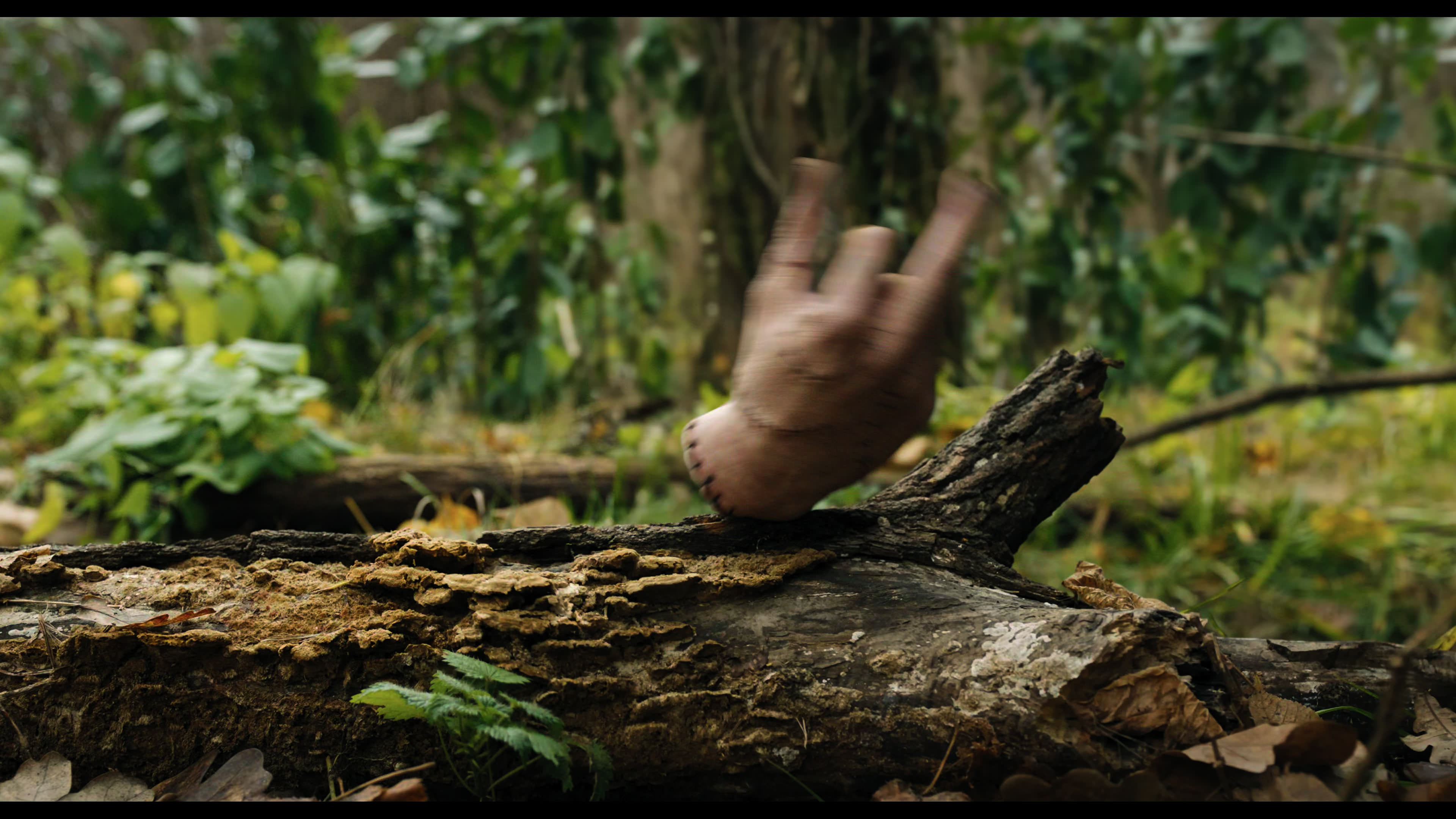 Wednesday S01E02 “Woe Is the Loneliest Number” screencap 5286
