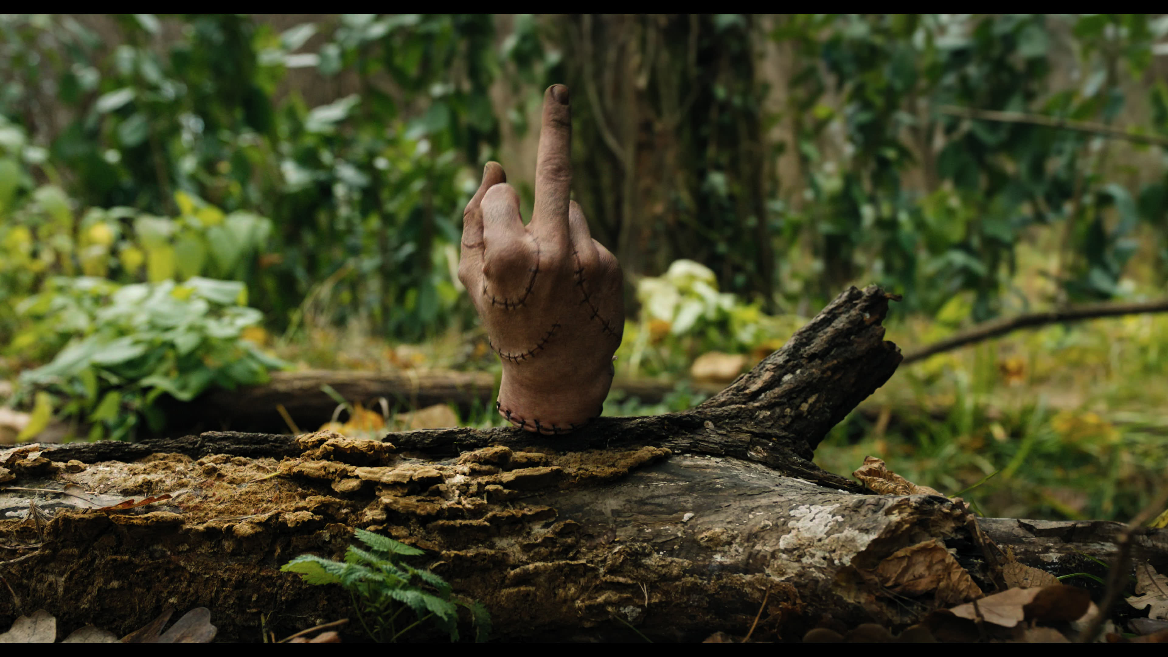Wednesday S01E02 “Woe Is the Loneliest Number” movie still 5287