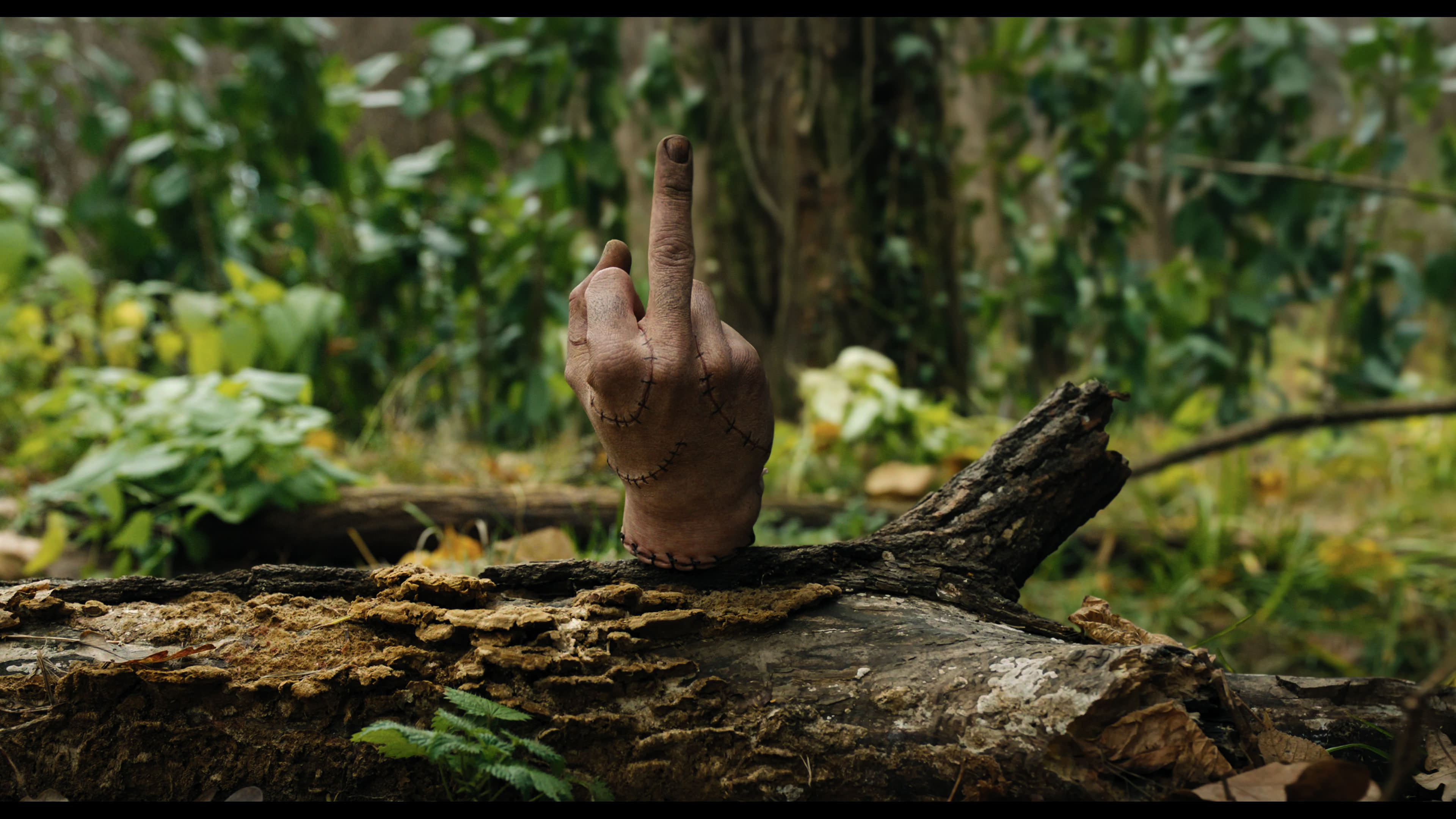 Wednesday S01E02 “Woe Is the Loneliest Number” screencap 5289